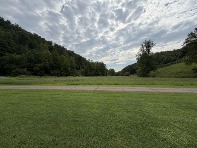 91 Mudlick Branch Property Photo 2