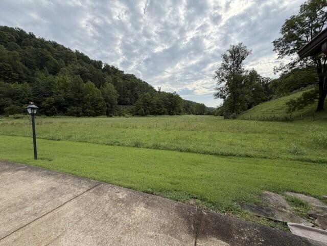 91 Mudlick Branch Property Photo 3