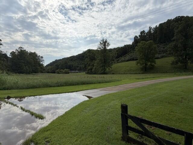 91 Mudlick Branch Property Photo 5