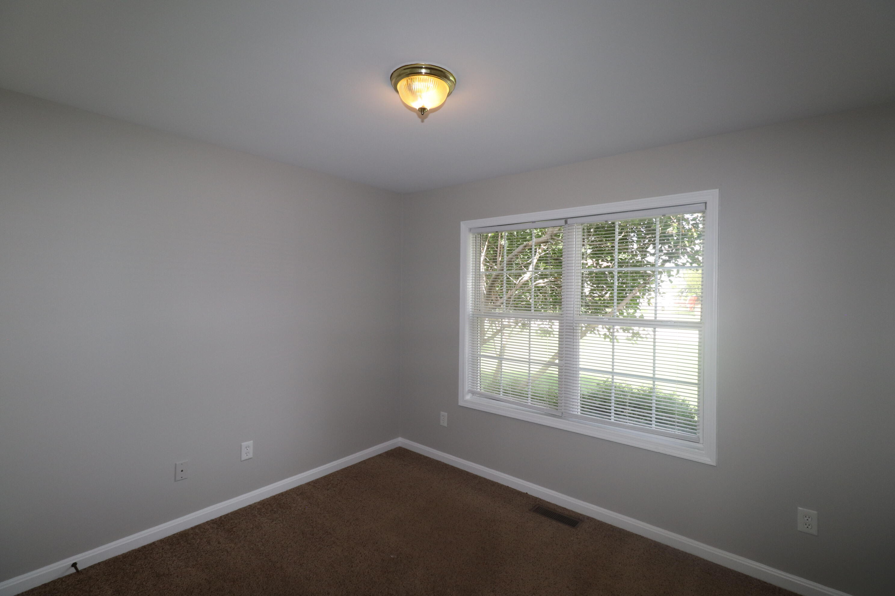 99 Shetland Lane Property Photo 14