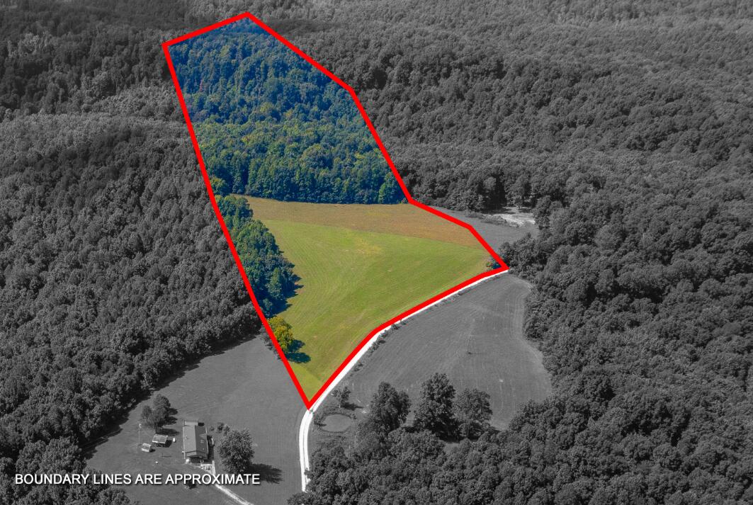 Tbd Boone Ridge Road Property Photo 2