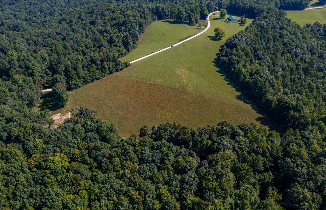Tbd Boone Ridge Road Property Photo 3