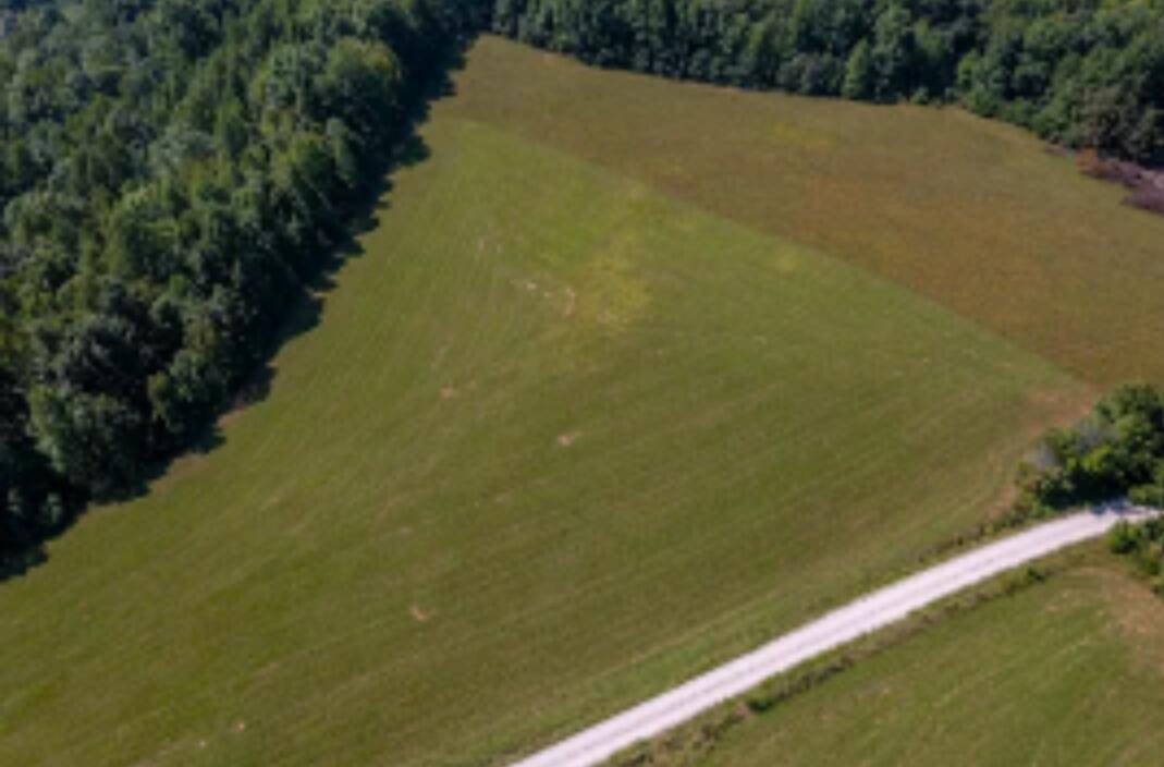 Tbd Boone Ridge Road Property Photo 5