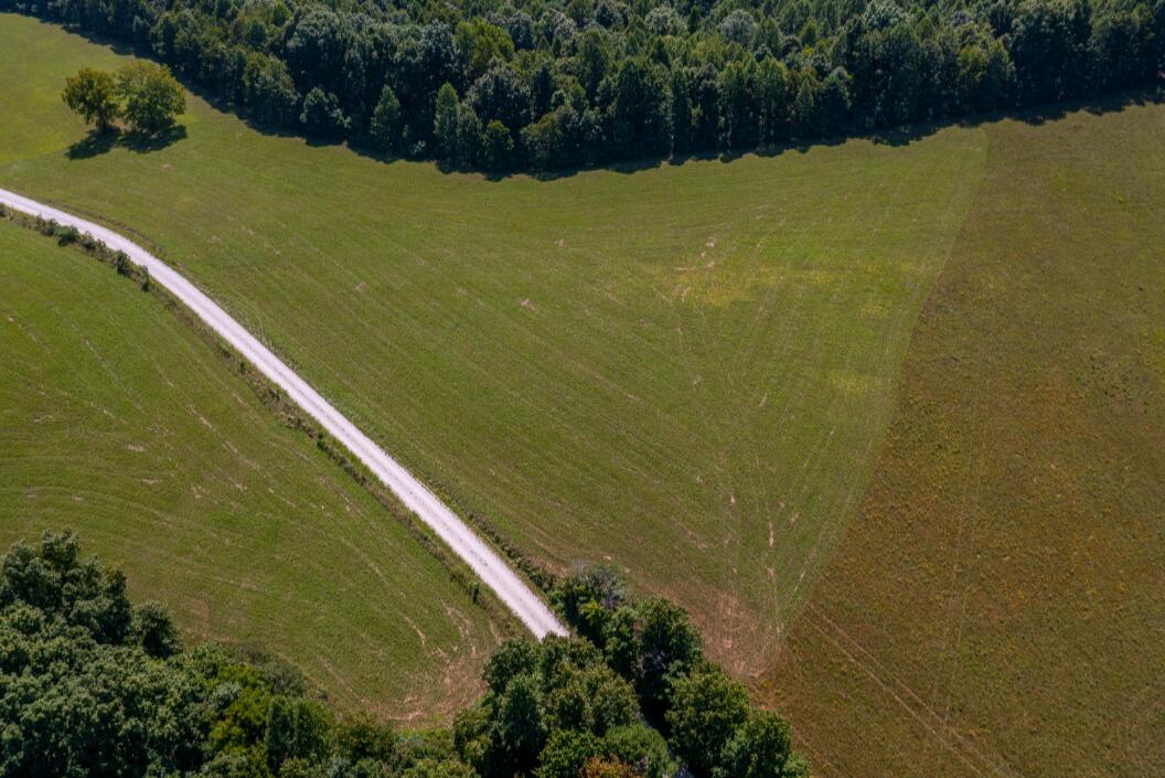 Tbd Boone Ridge Road Property Photo 6