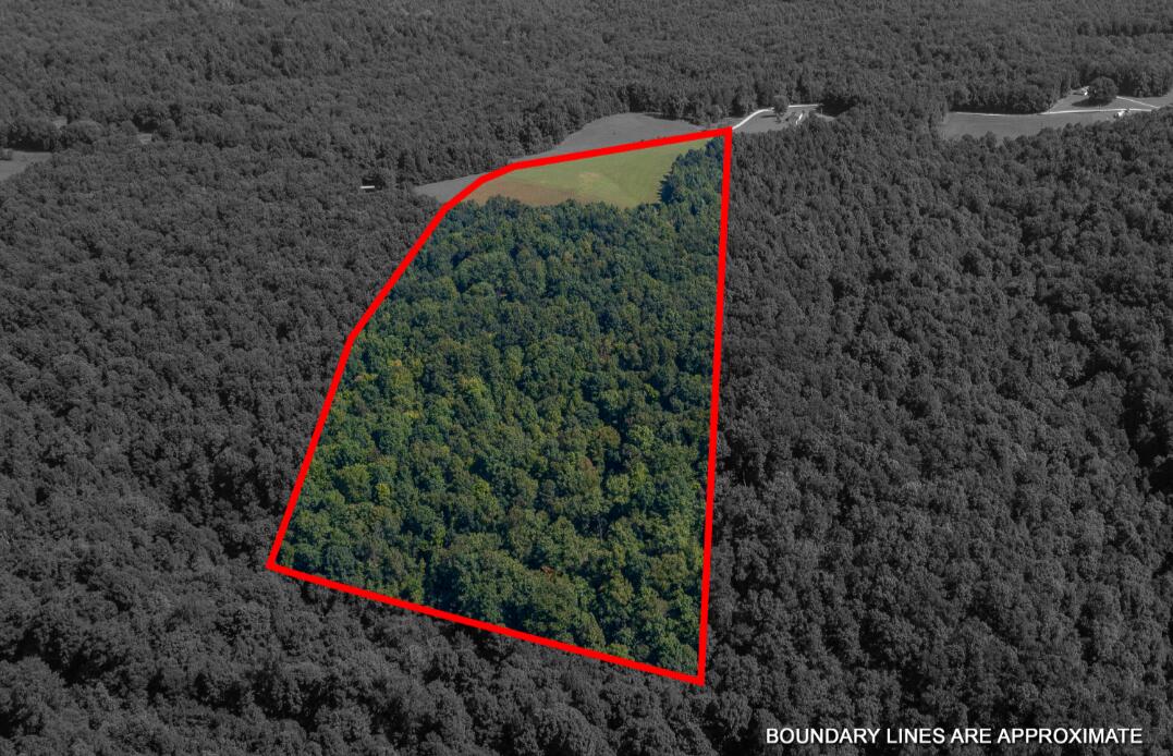 Tbd Boone Ridge Road Property Photo 9