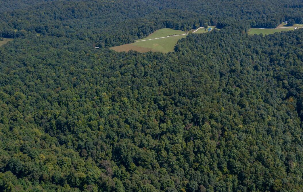 Tbd Boone Ridge Road Property Photo 10