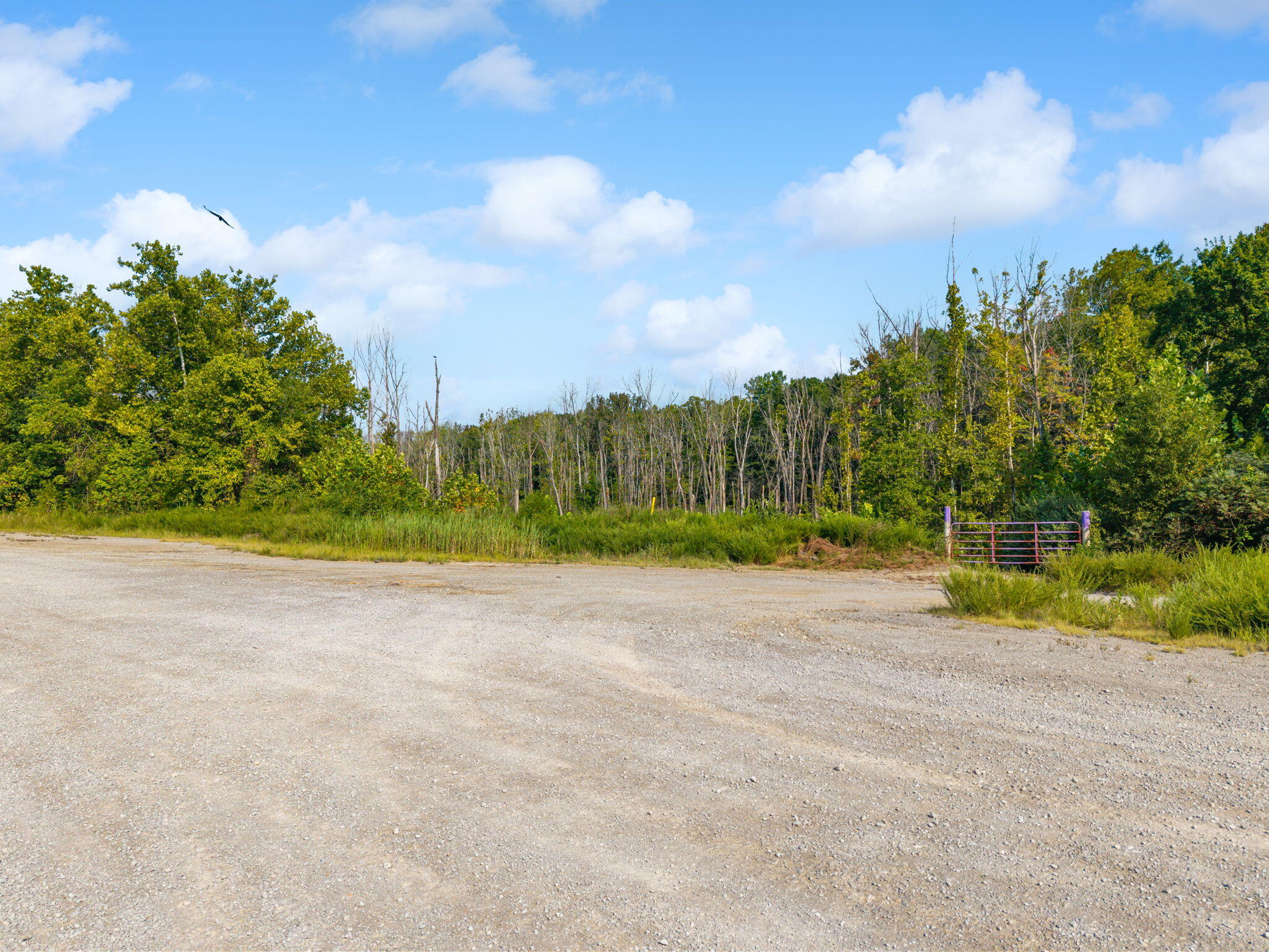 0 P And M Haul Road Property Photo 10