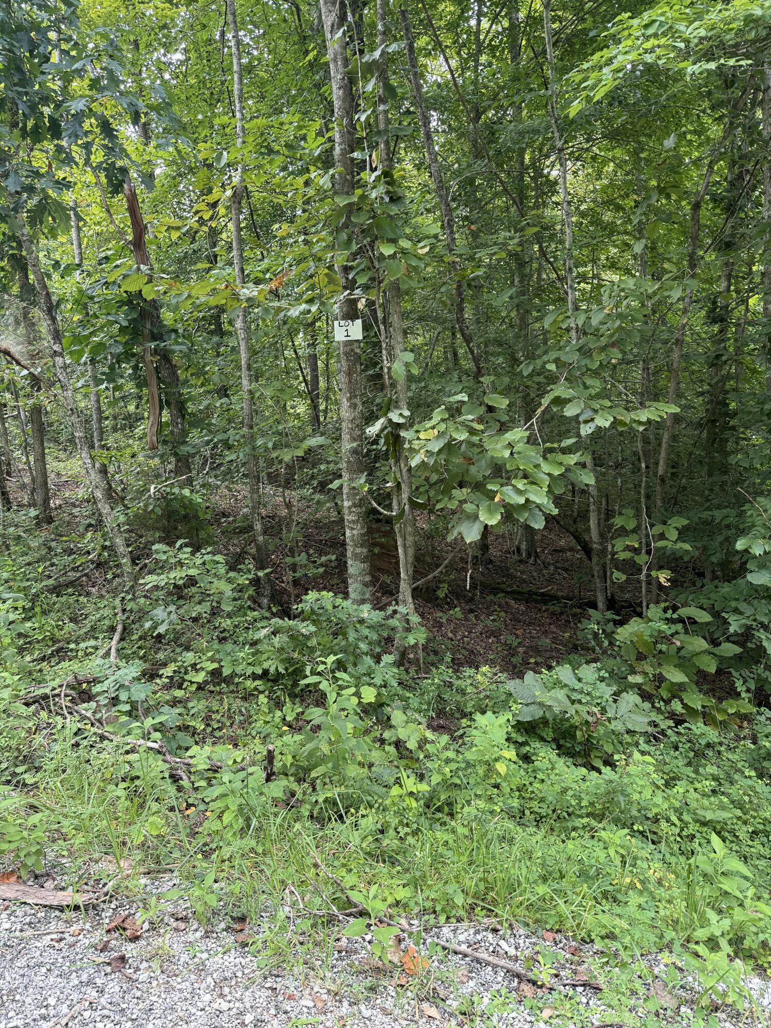 1 Buck Creek Circle Property Photo 6