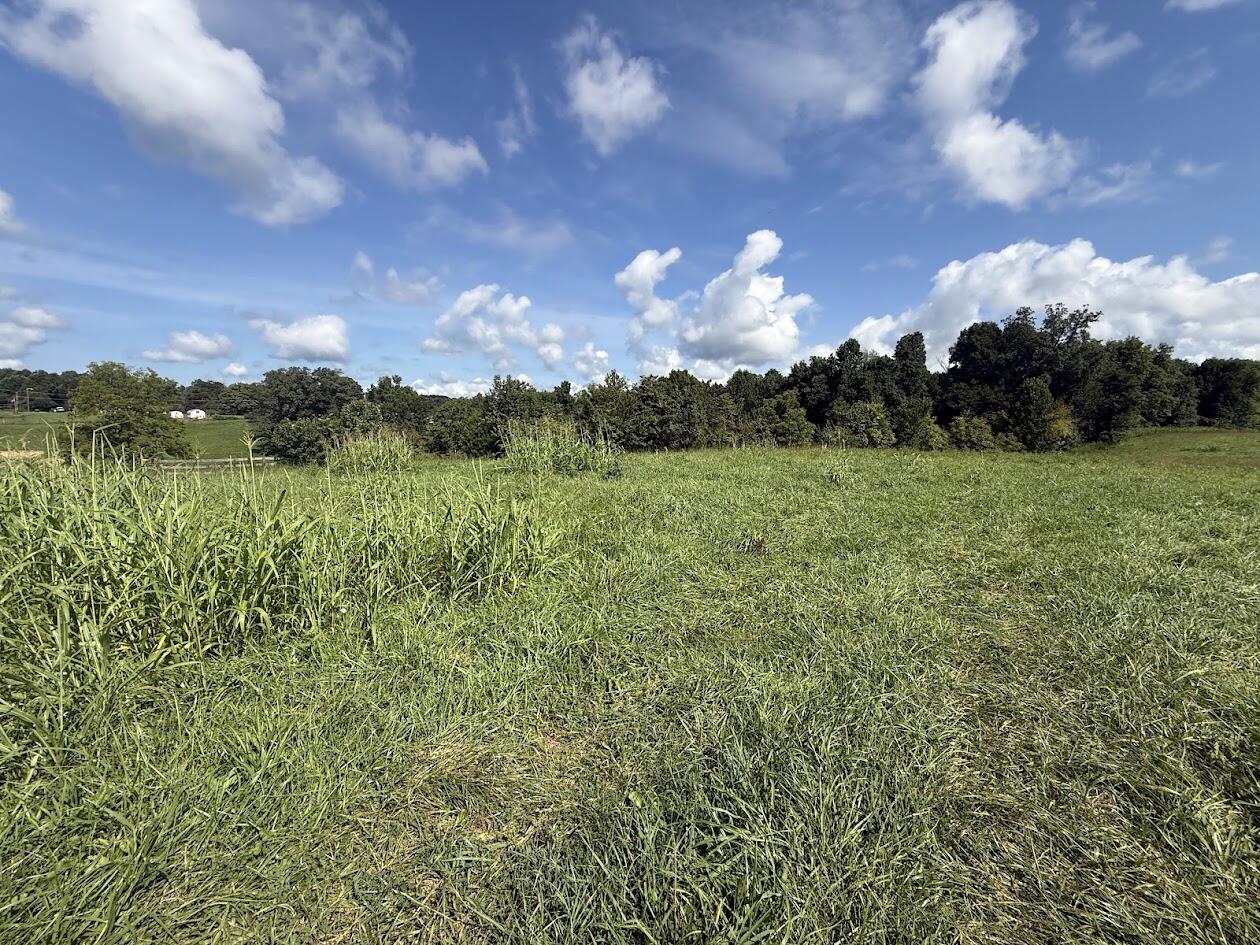 5820 Kentucky 39 Property Photo 18