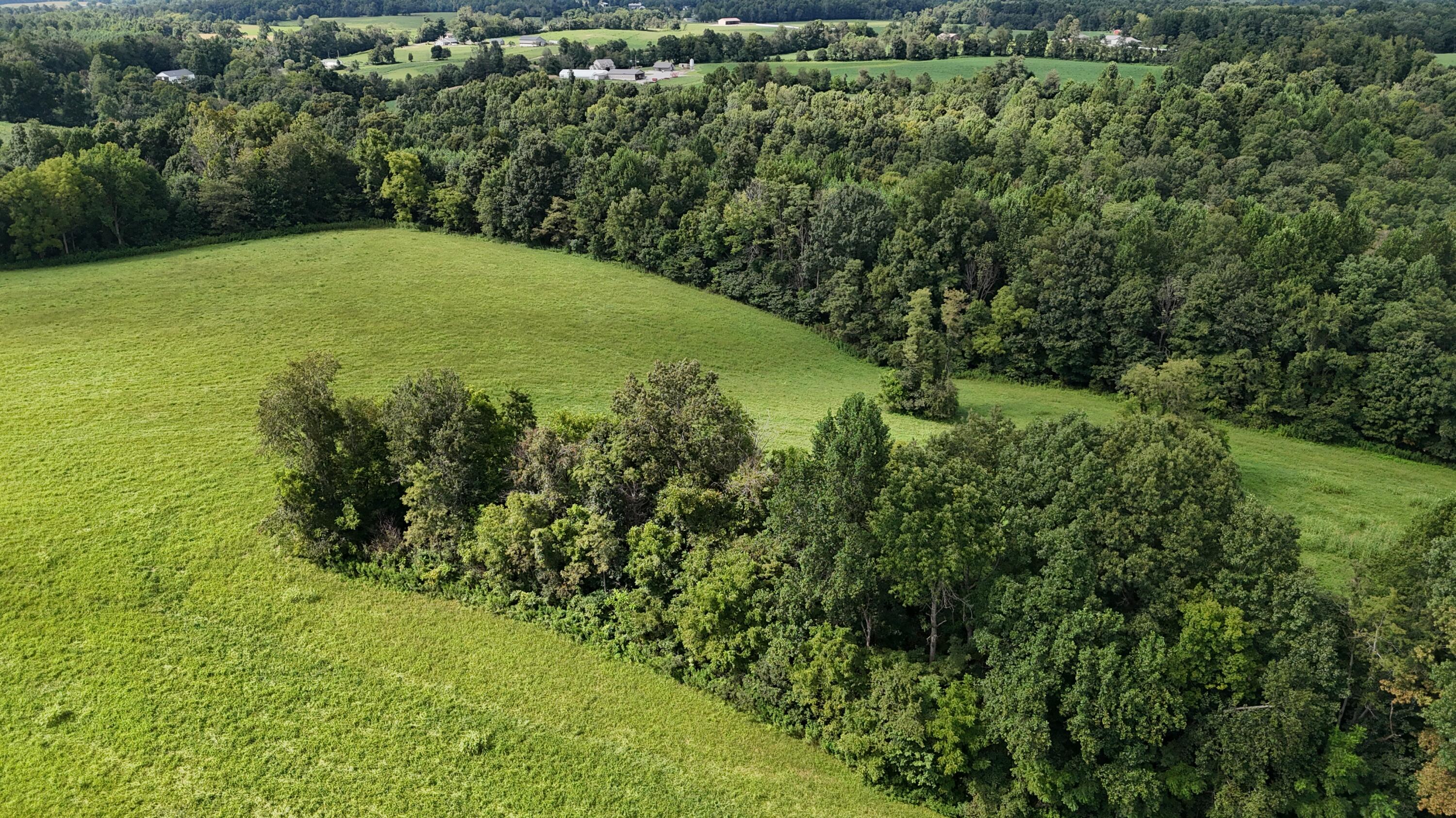 5820 Kentucky 39 Property Photo 66