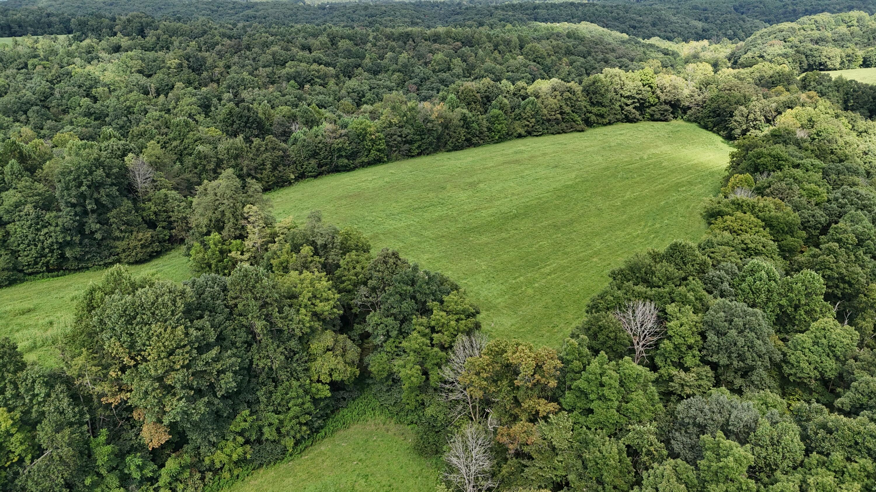 5820 Kentucky 39 Property Photo 67