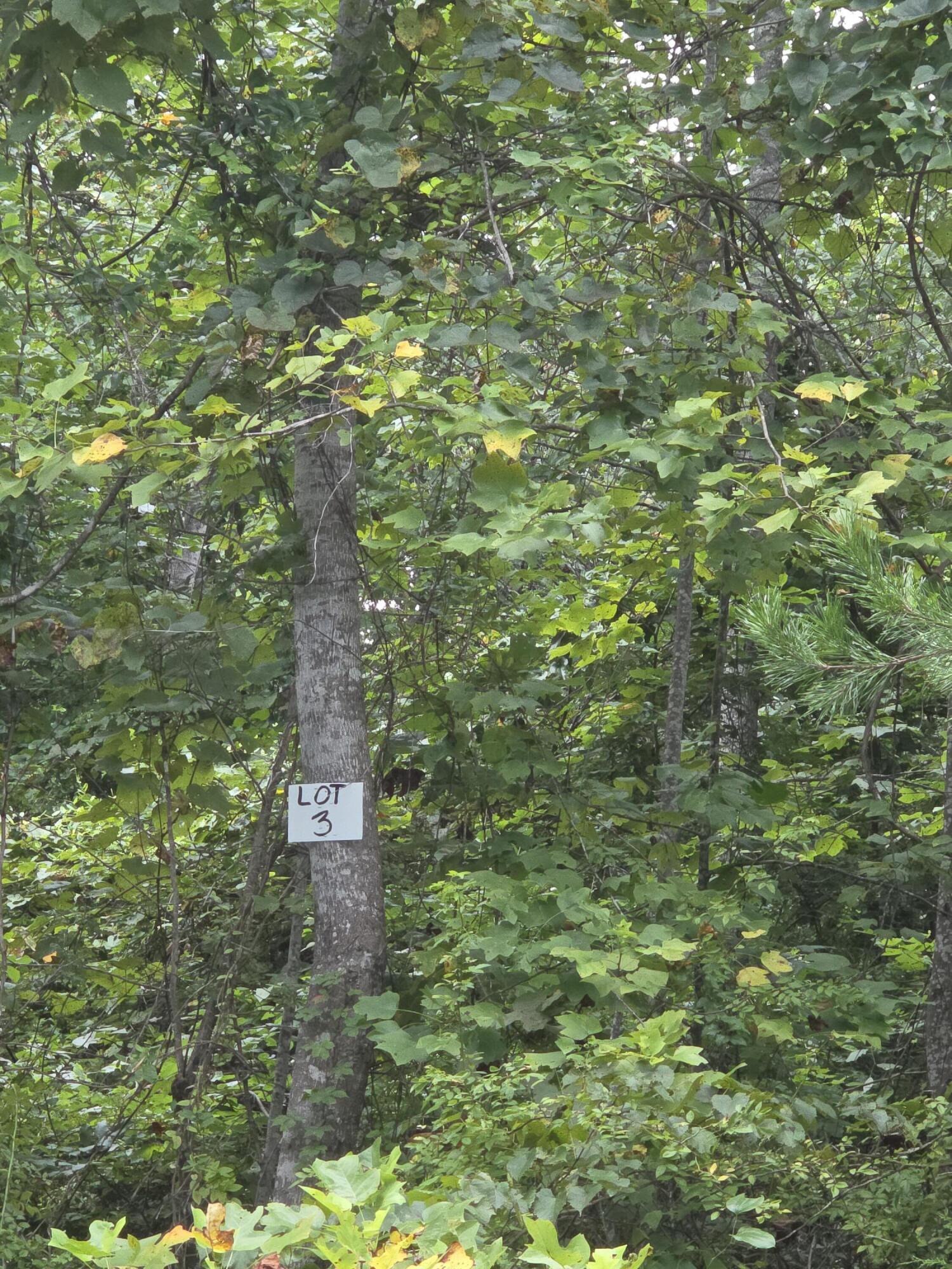 3 Buck Creek Circle Property Photo 1