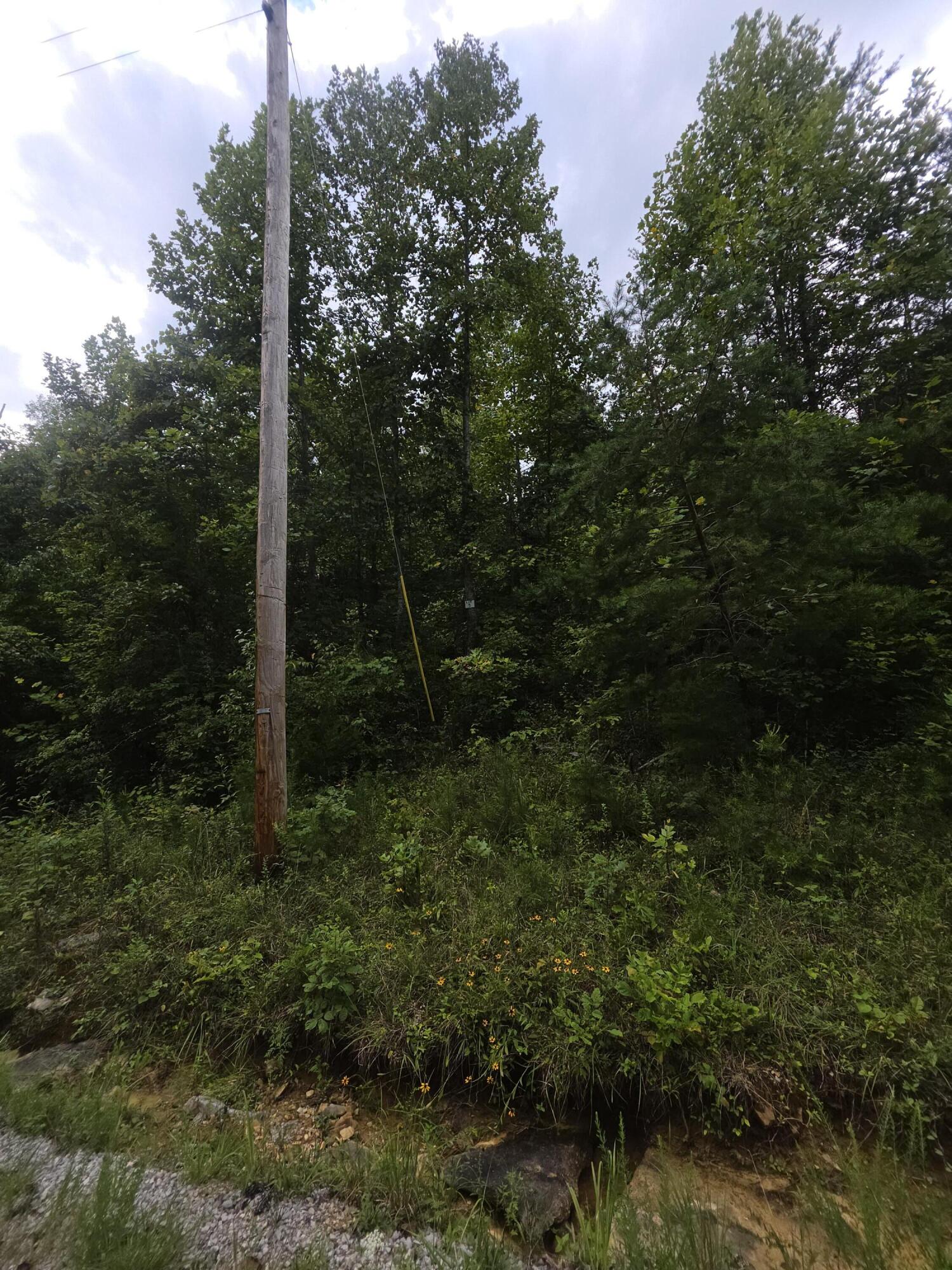 3 Buck Creek Circle Property Photo 2