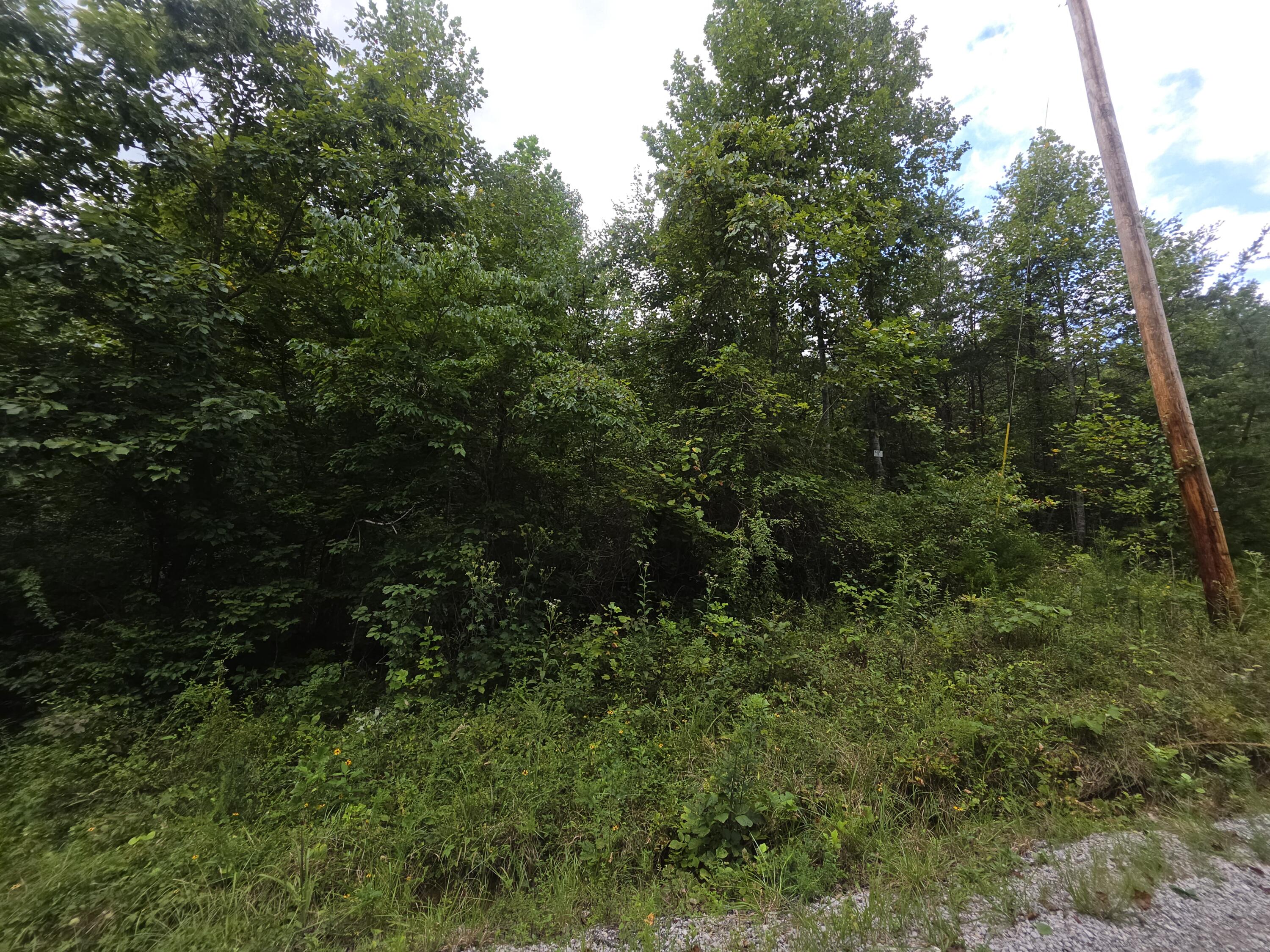 3 Buck Creek Circle Property Photo 3