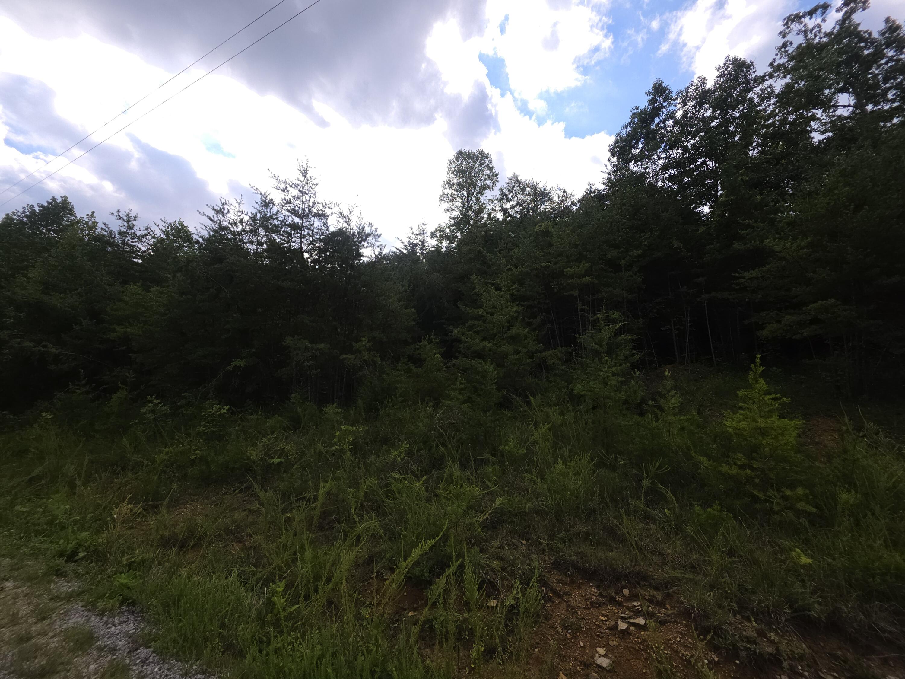 3 Buck Creek Circle Property Photo 4