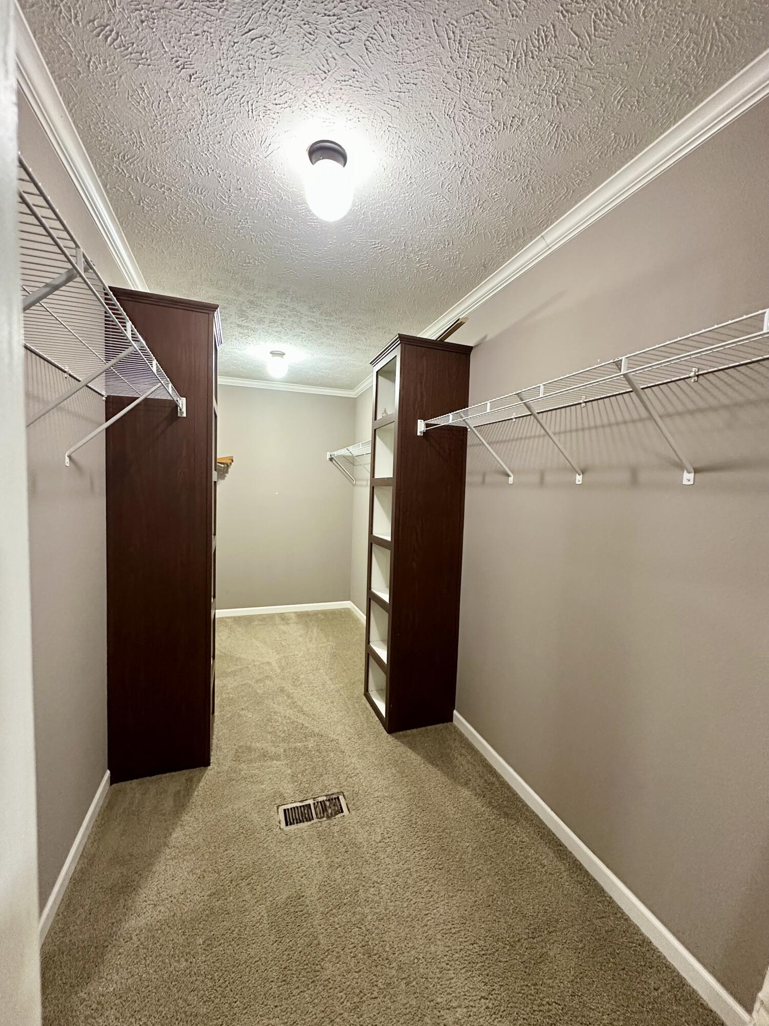 3011 Ryans Creek Road Property Photo 6