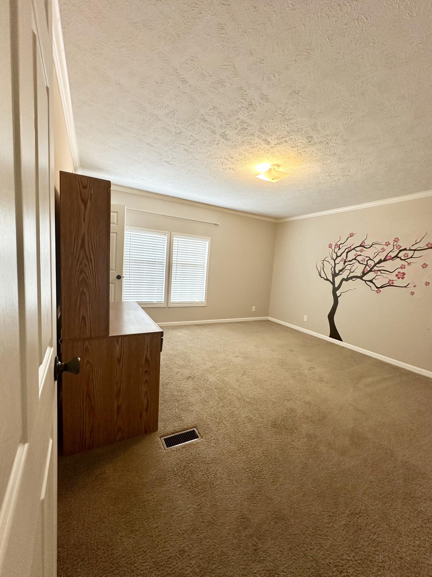 3011 Ryans Creek Road Property Photo 10