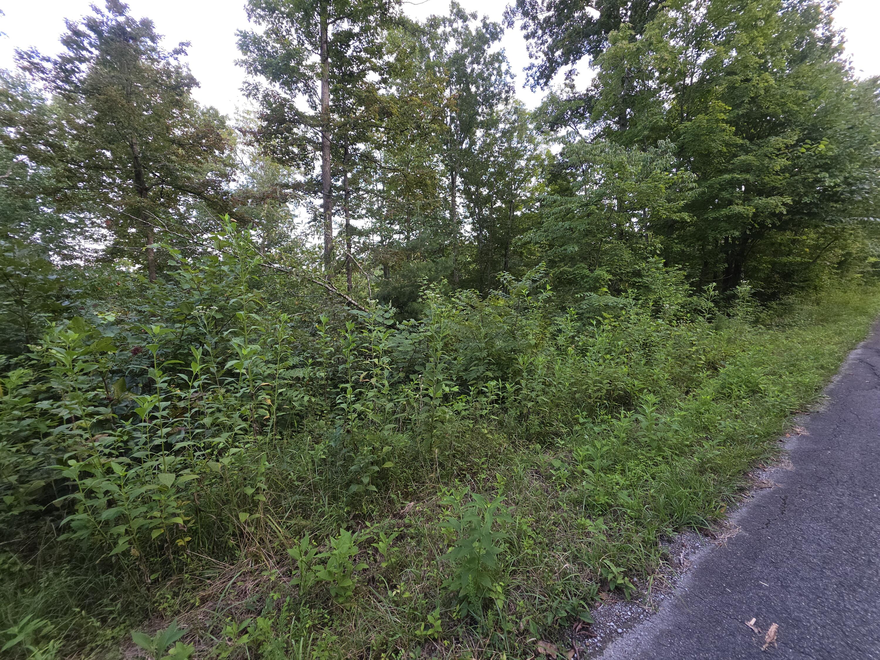 4 Buck Creek Circle Property Photo 1