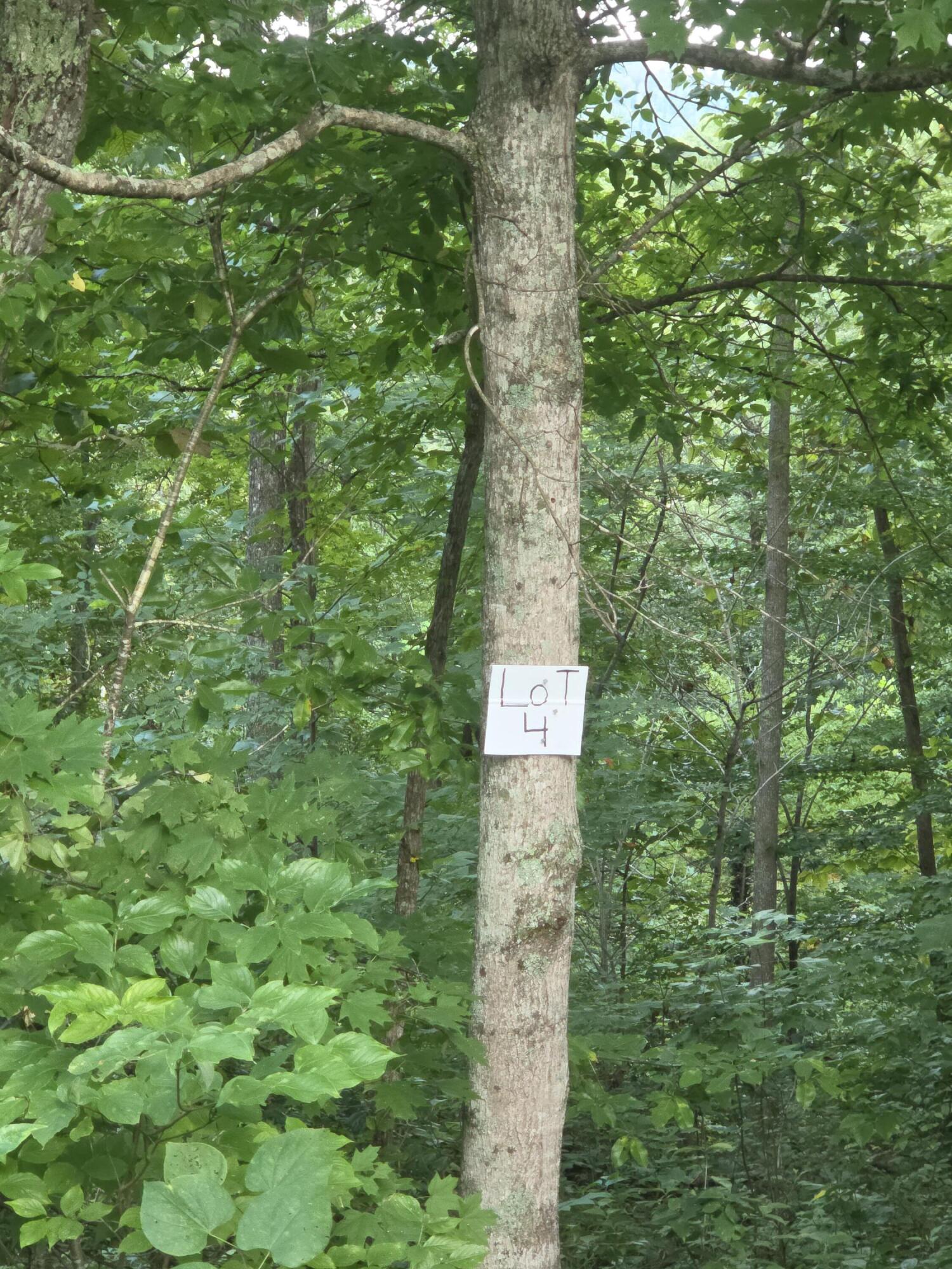 4 Buck Creek Circle Property Photo 3