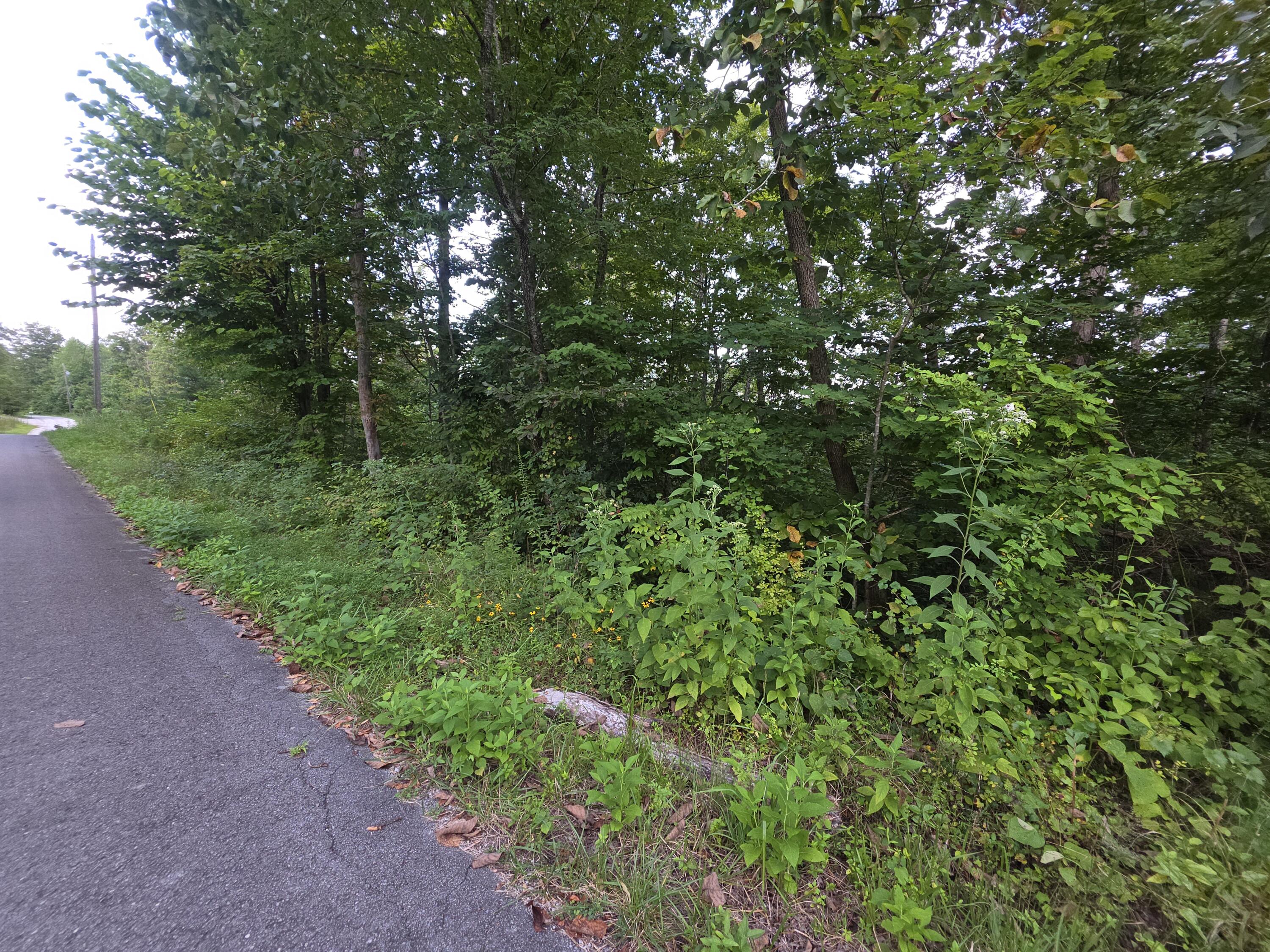 4 Buck Creek Circle Property Photo 4