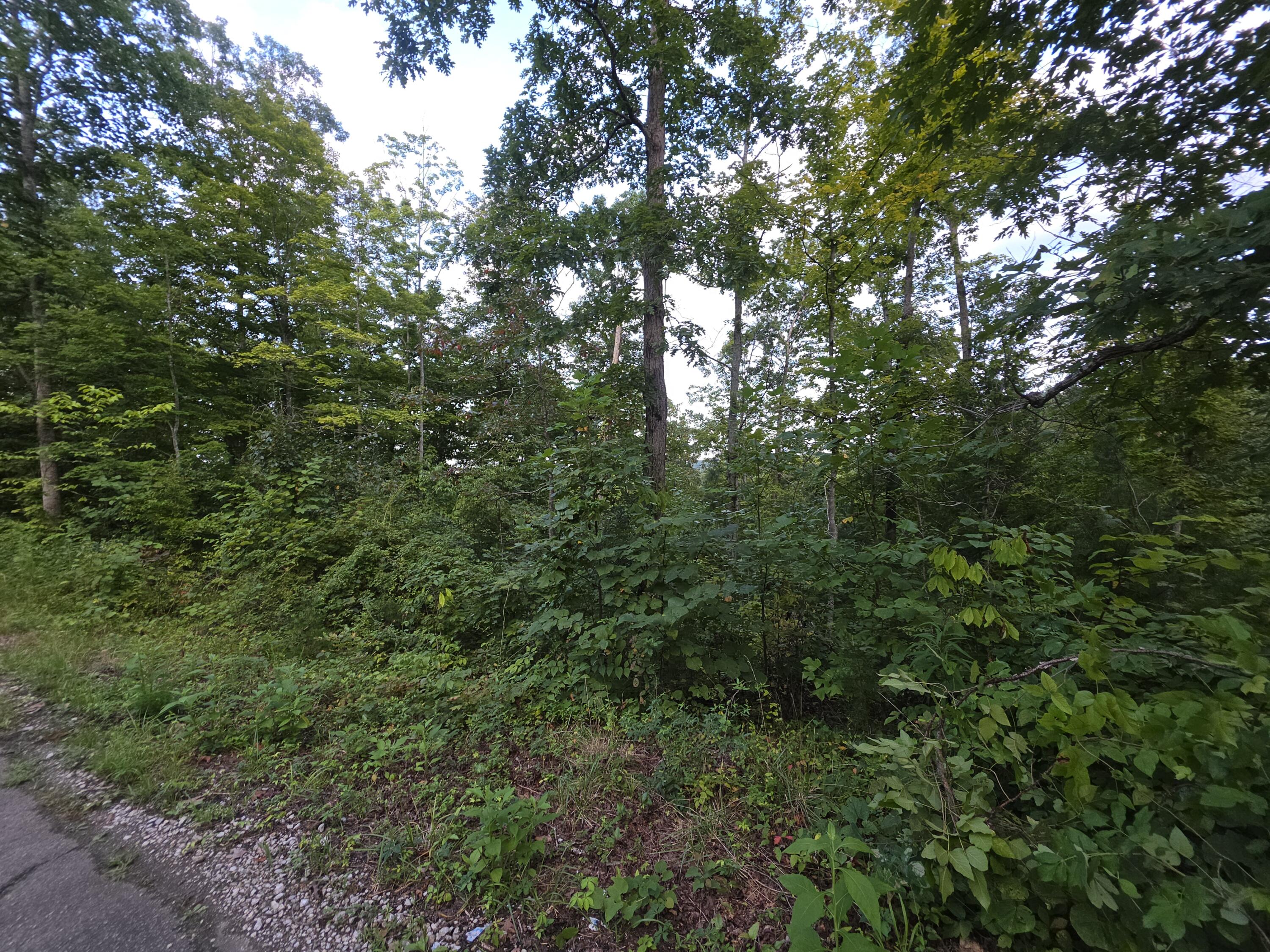 4 Buck Creek Circle Property Photo 5