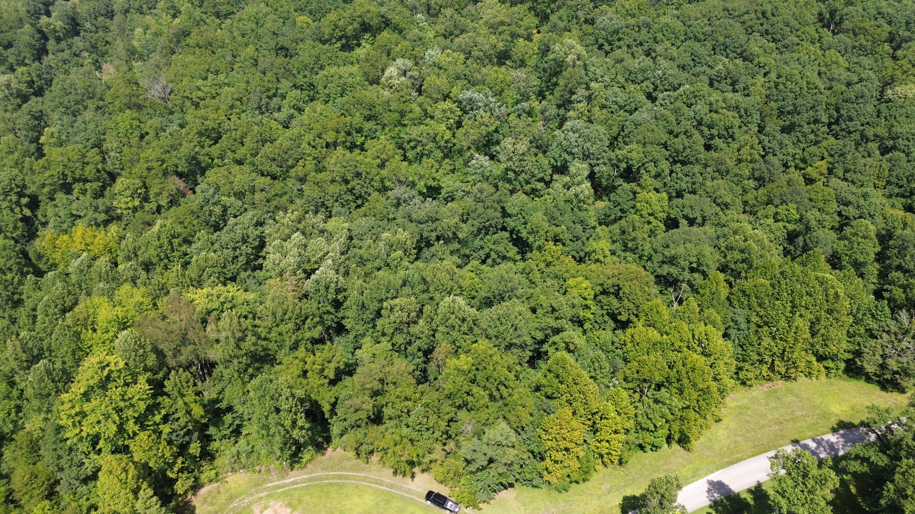 0 S Fork Road Property Photo 1