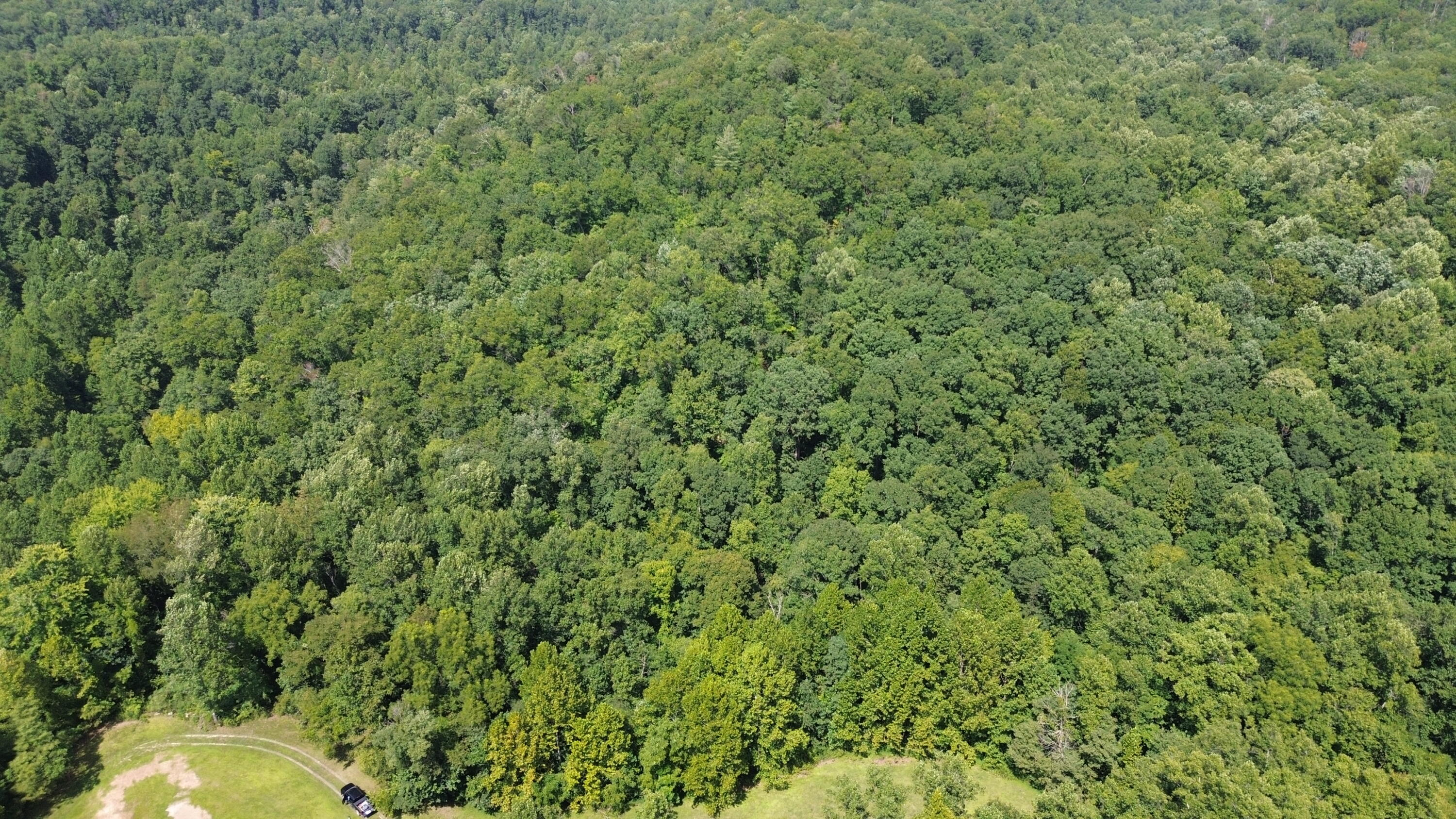 0 S Fork Road Property Photo 3