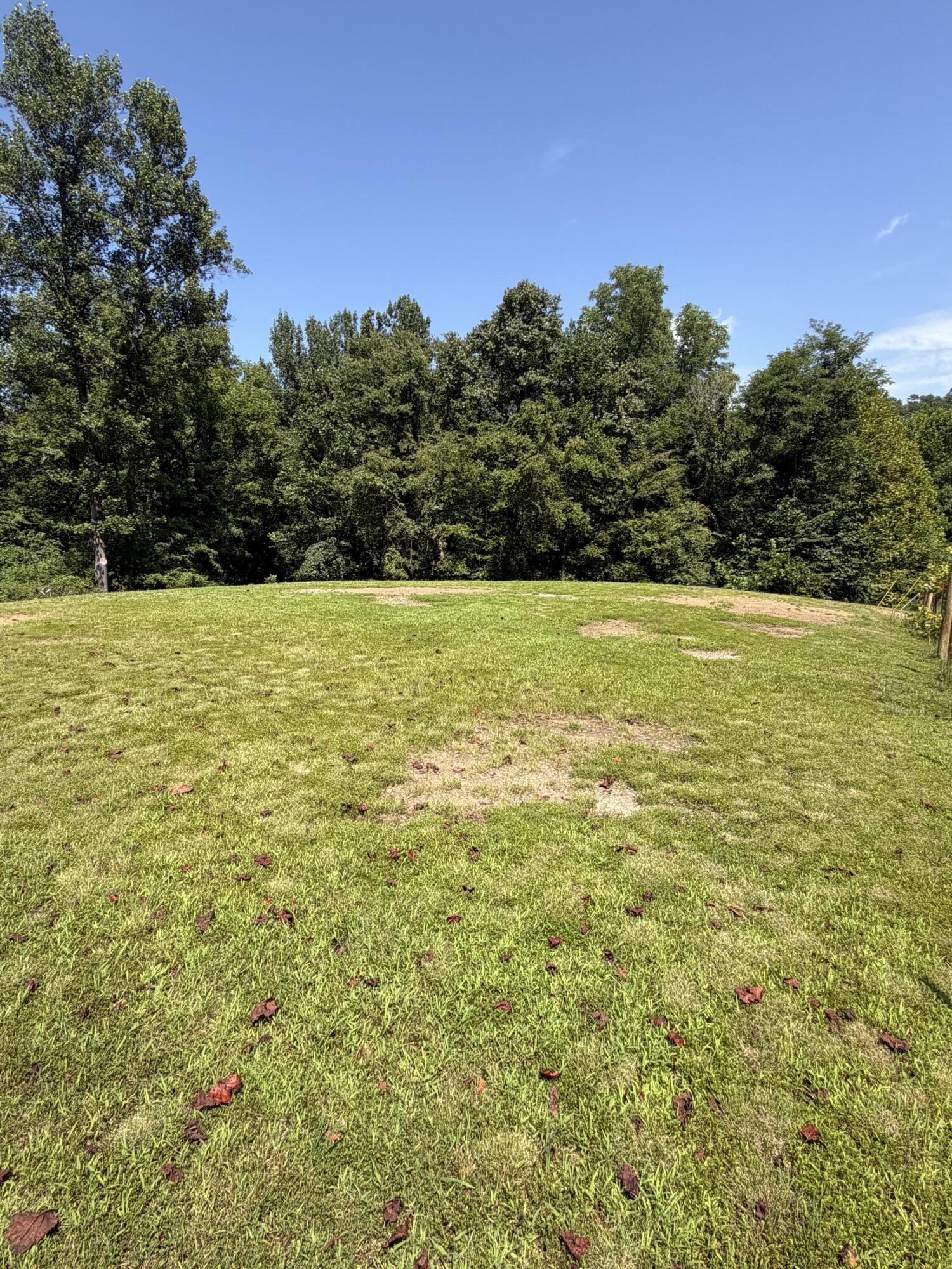 0 S Fork Road Property Photo 10