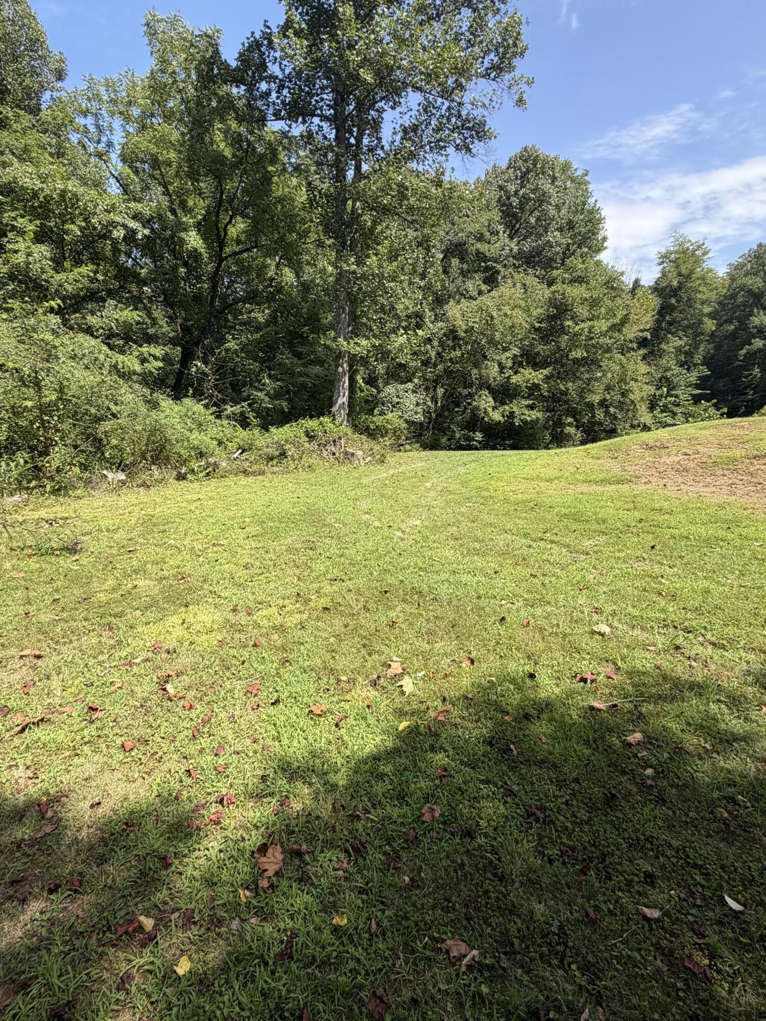 0 S Fork Road Property Photo 13