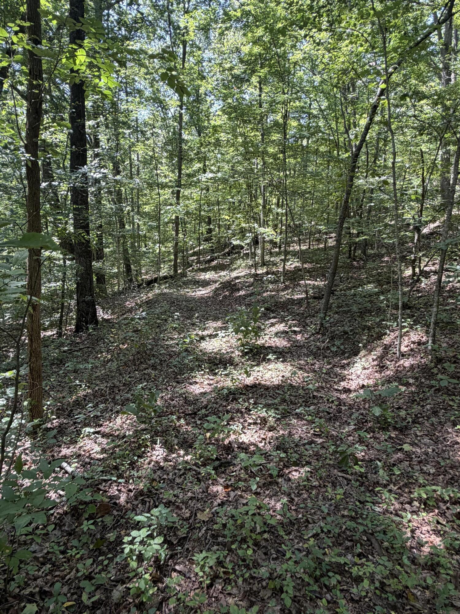 0 S Fork Road Property Photo 14