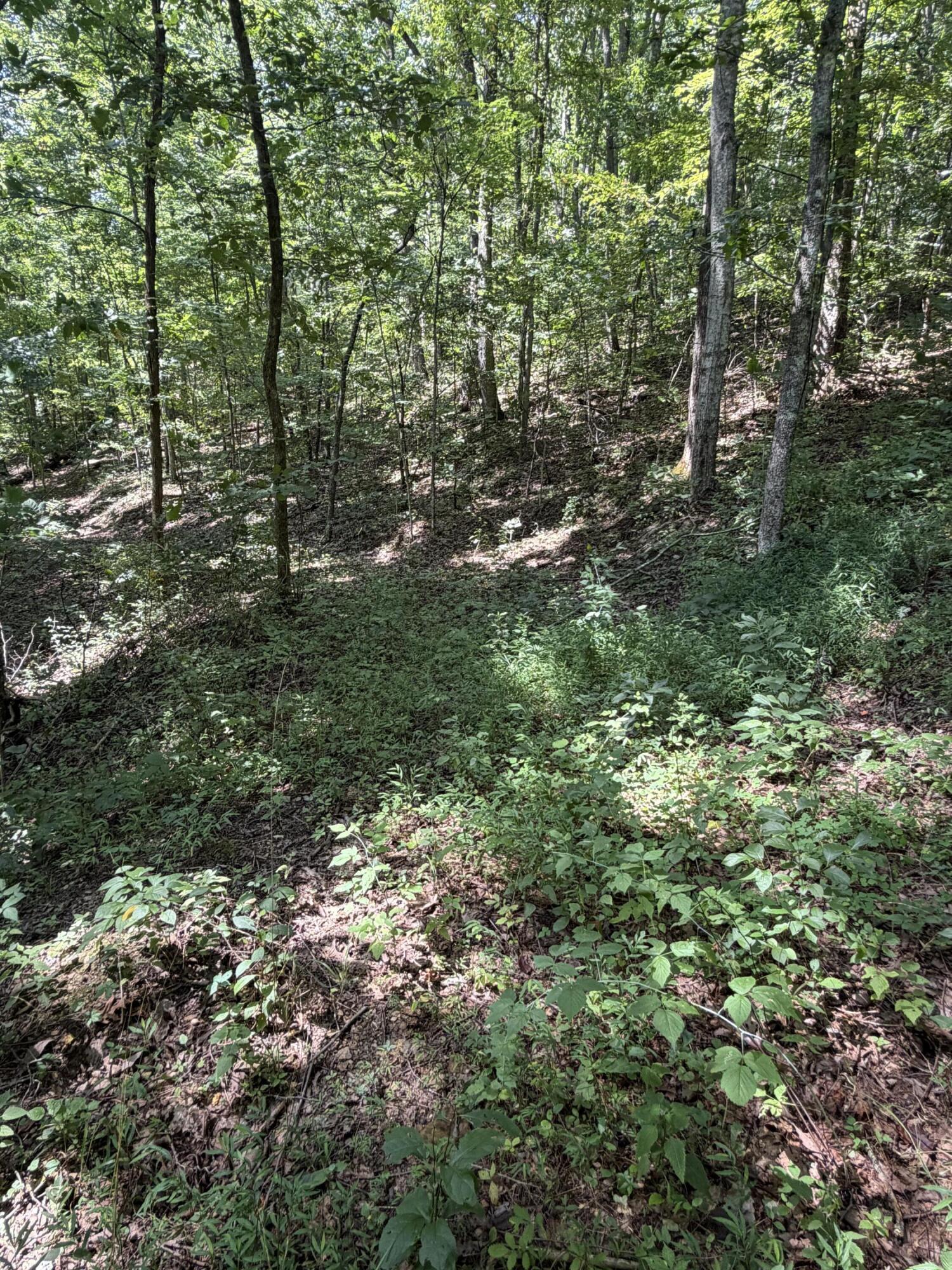 0 S Fork Road Property Photo 15