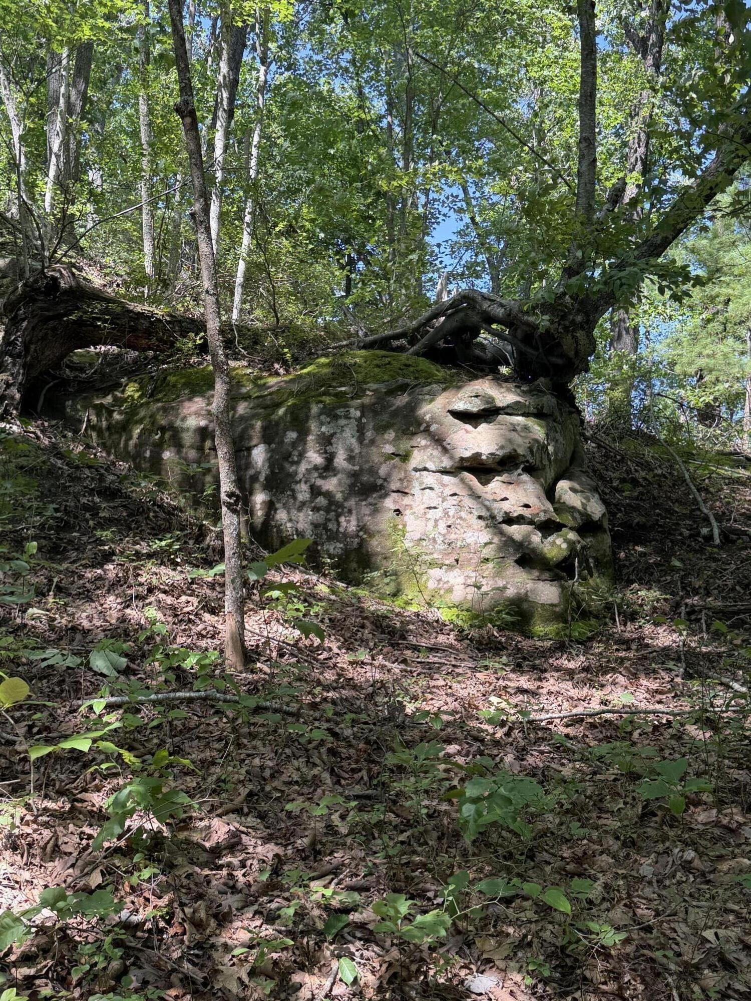 0 S Fork Road Property Photo 16