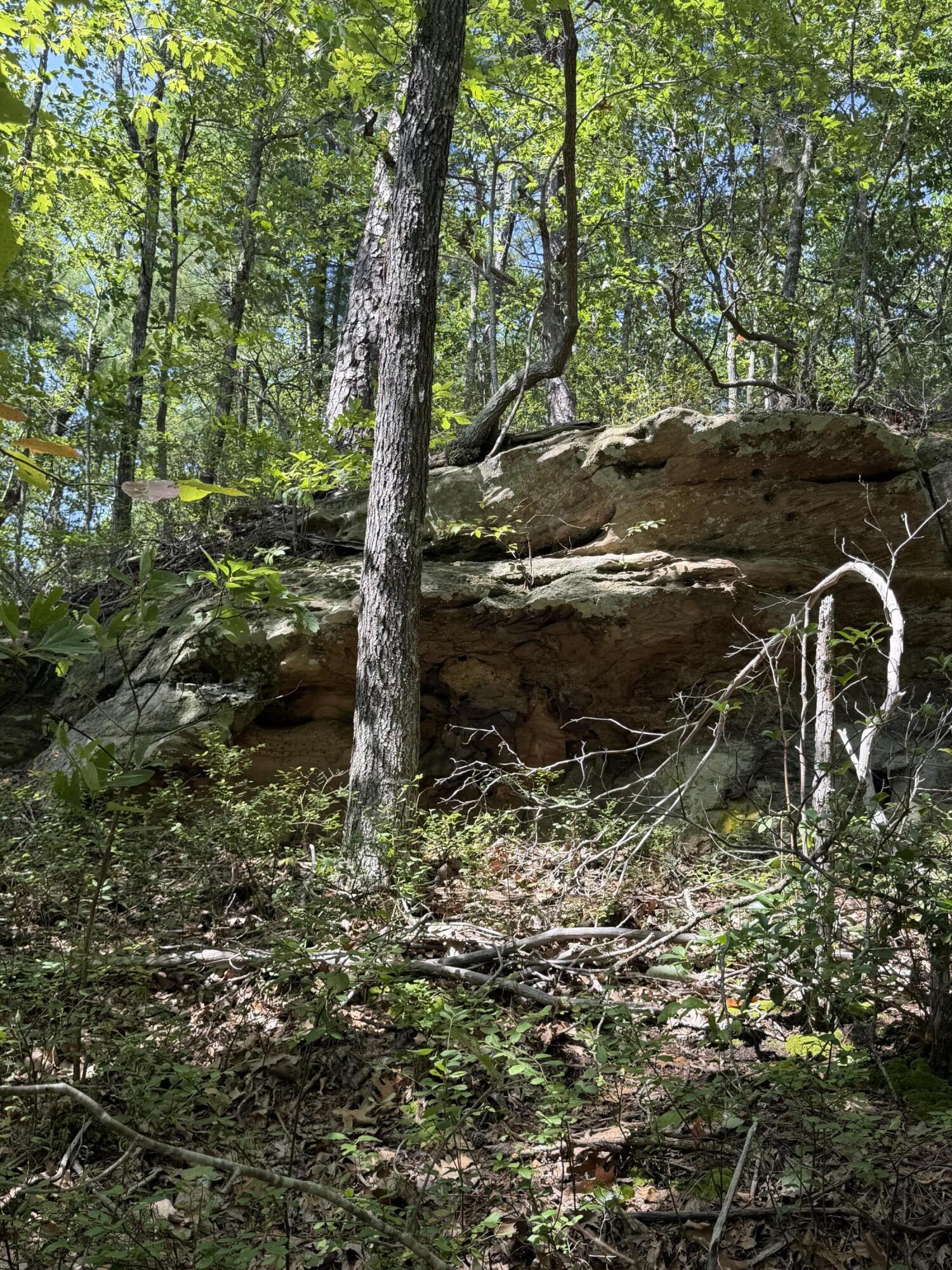 0 S Fork Road Property Photo 17