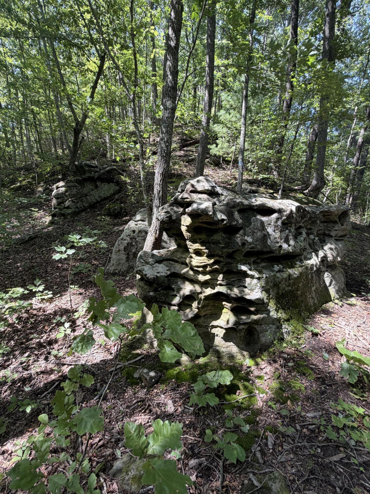0 S Fork Road Property Photo 18