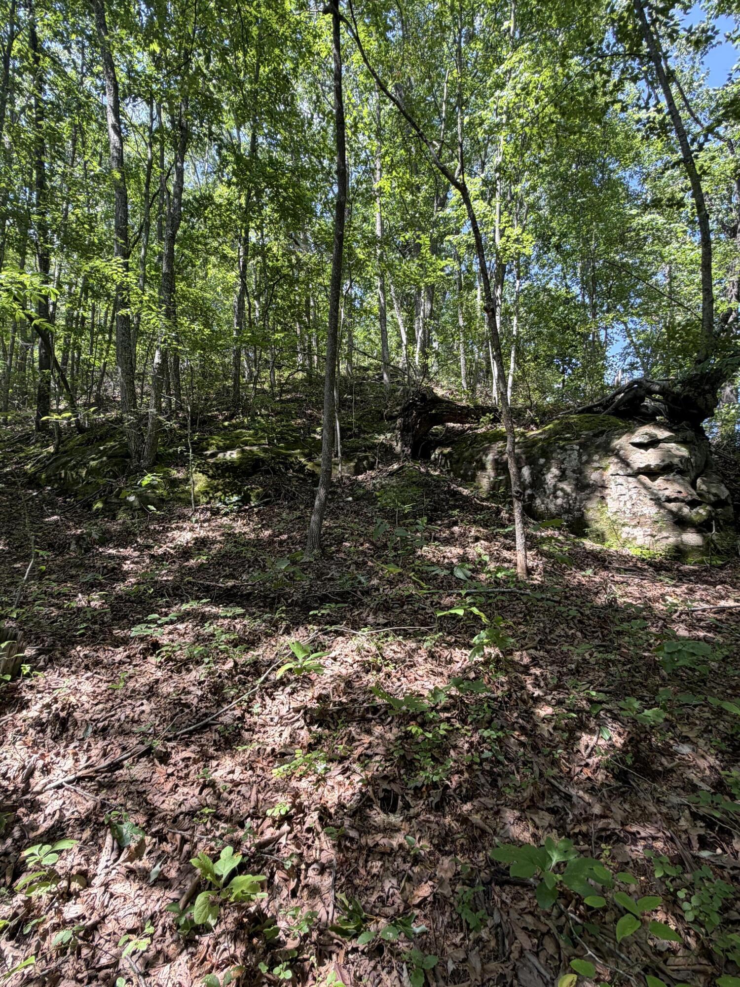 0 S Fork Road Property Photo 19