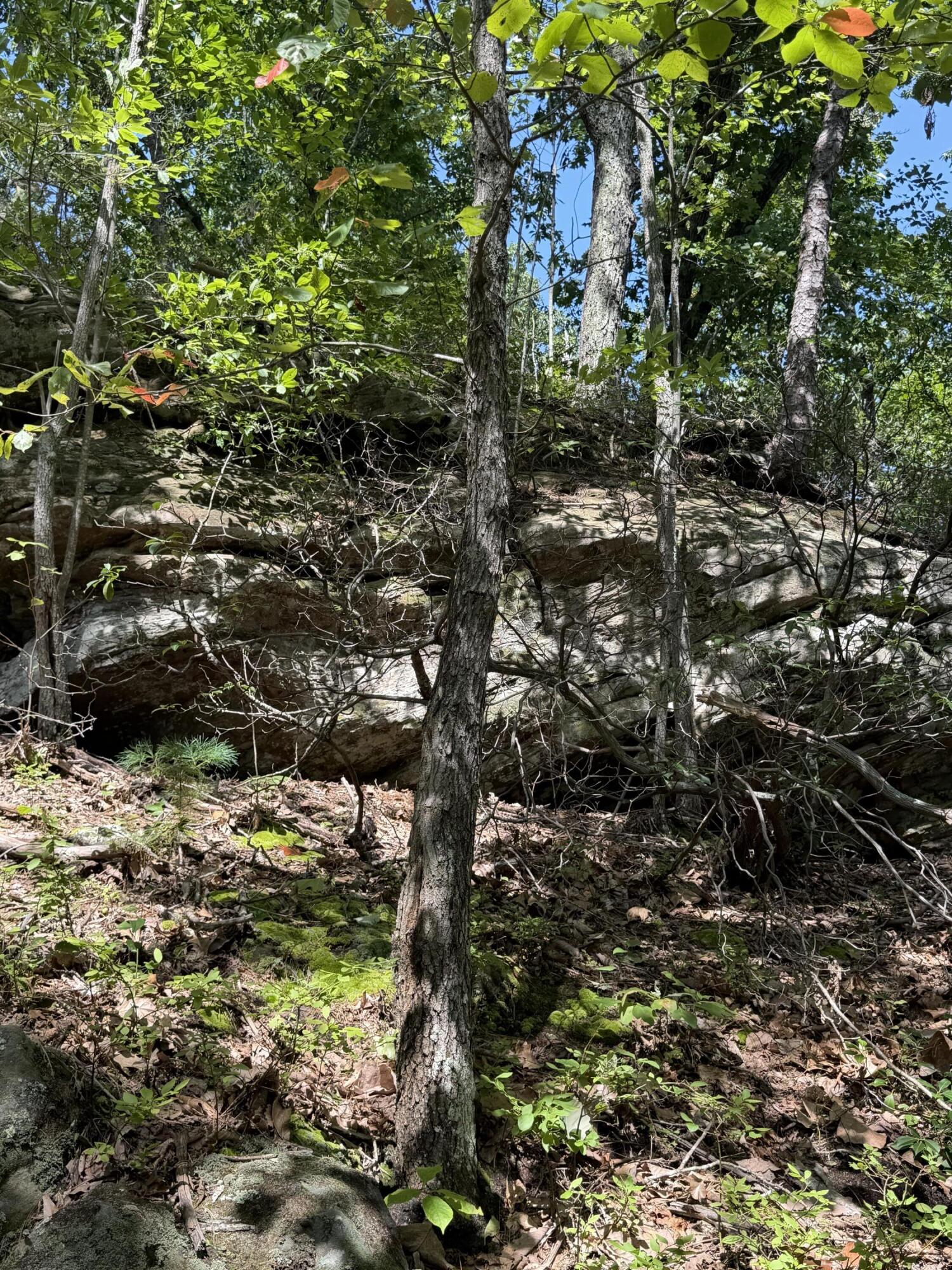 0 S Fork Road Property Photo 20