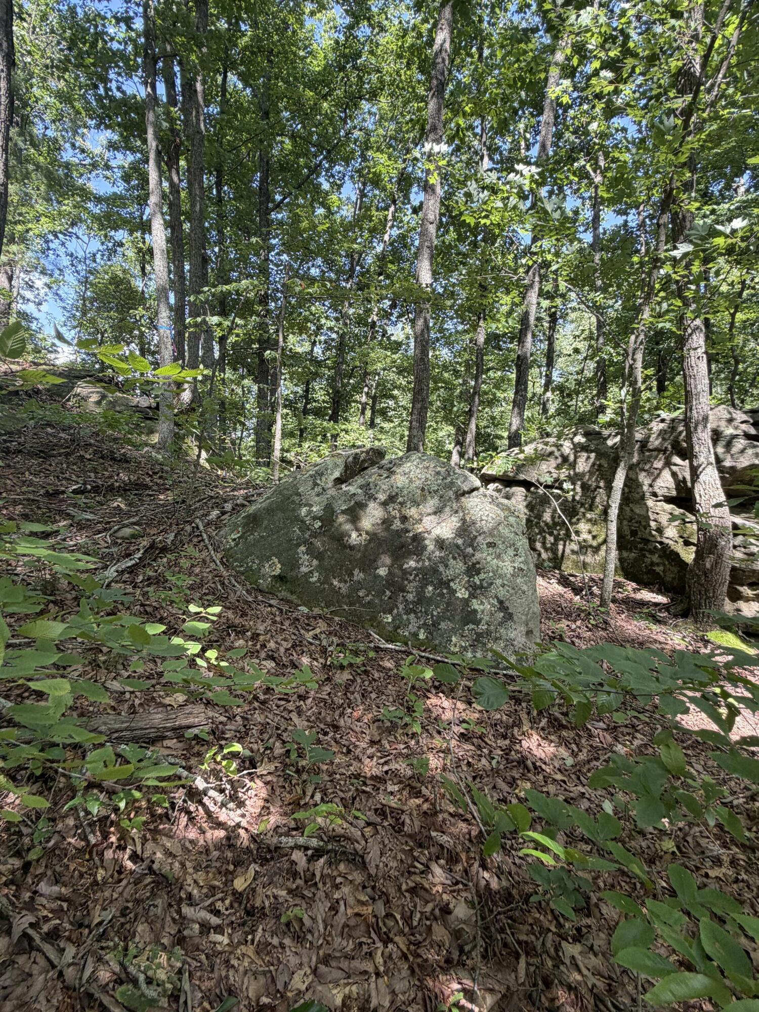 0 S Fork Road Property Photo 21