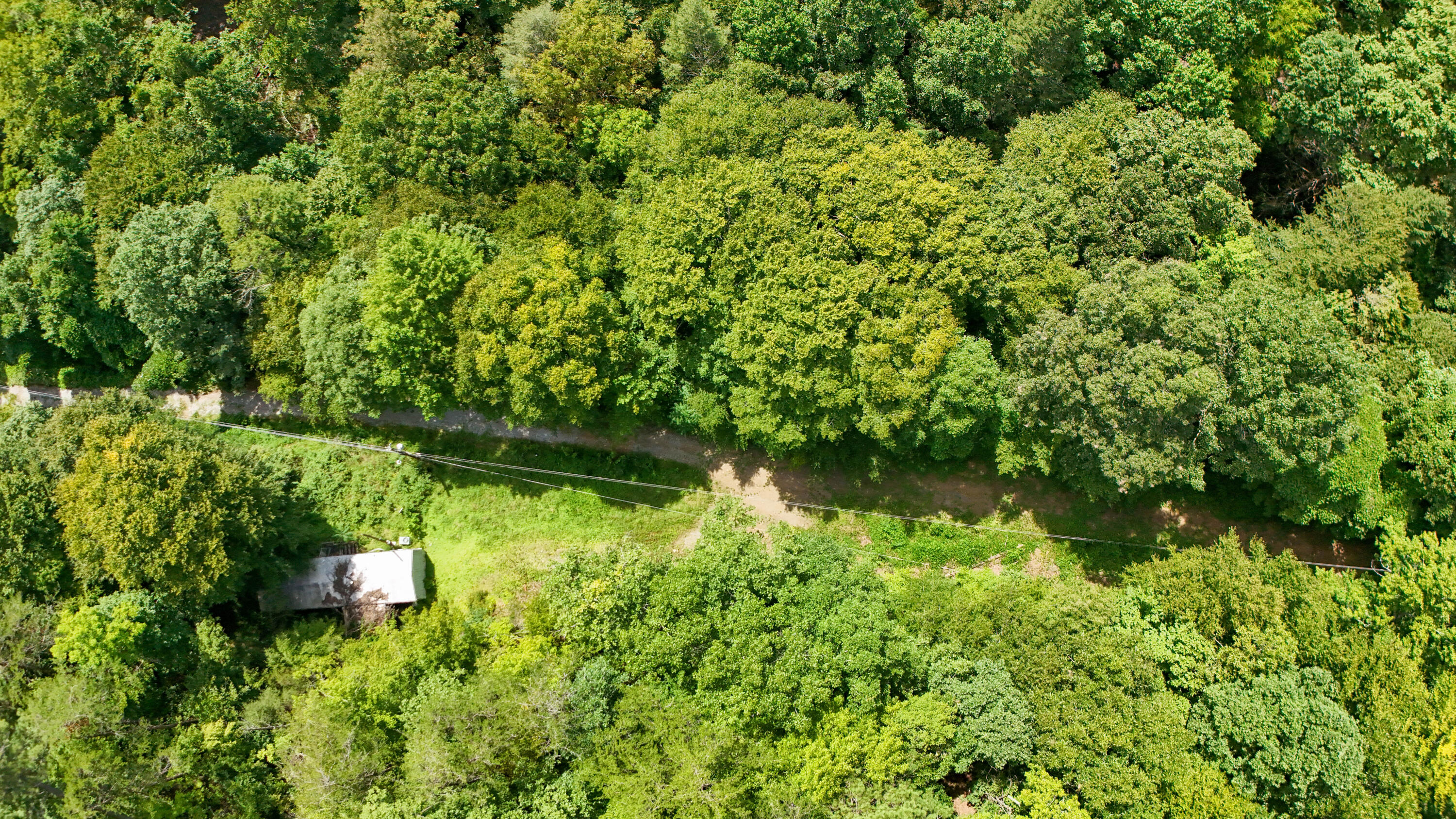 202 Billy G Hollow Property Photo 13