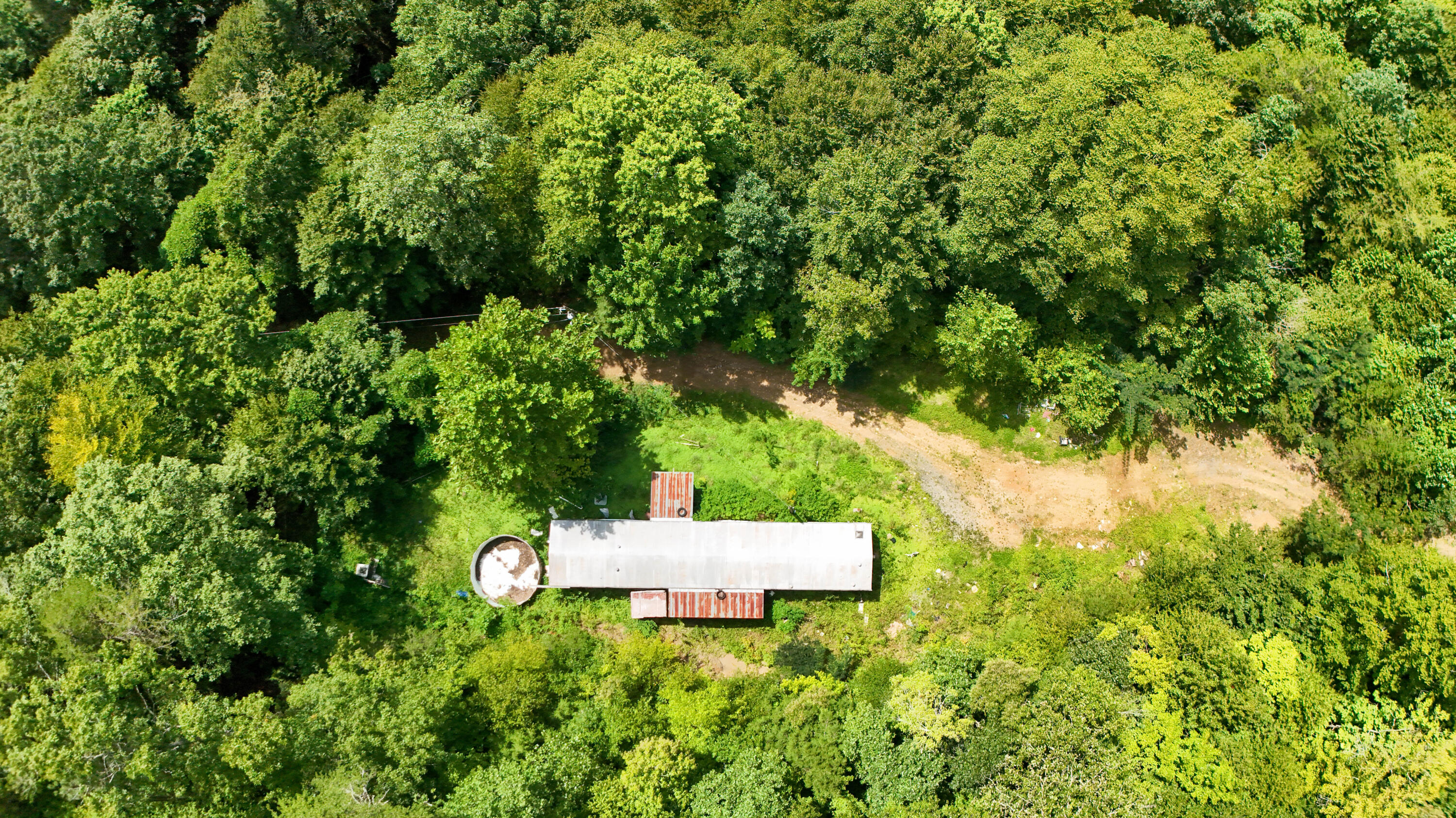 202 Billy G Hollow Property Photo 14