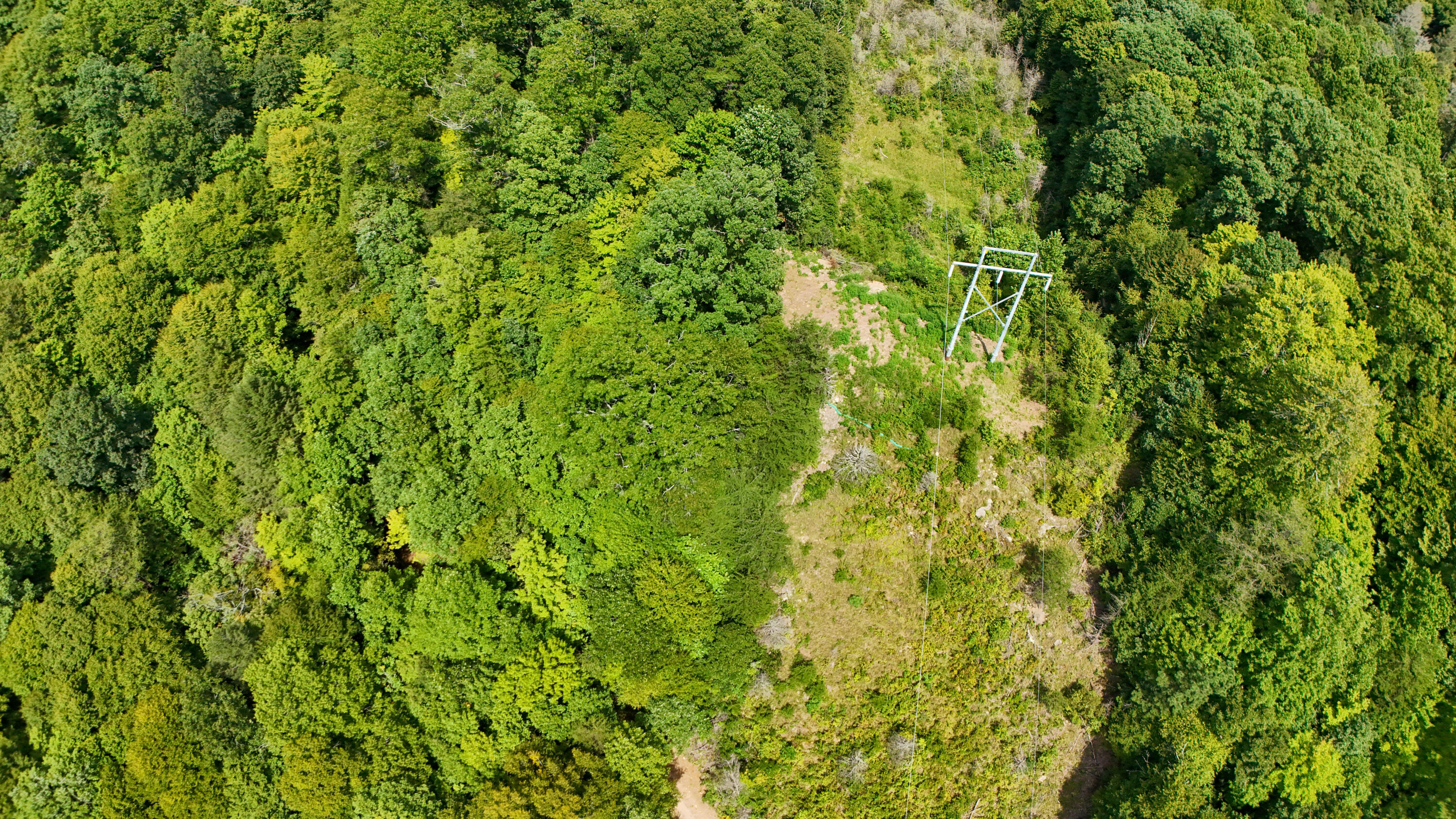 202 Billy G Hollow Property Photo 16
