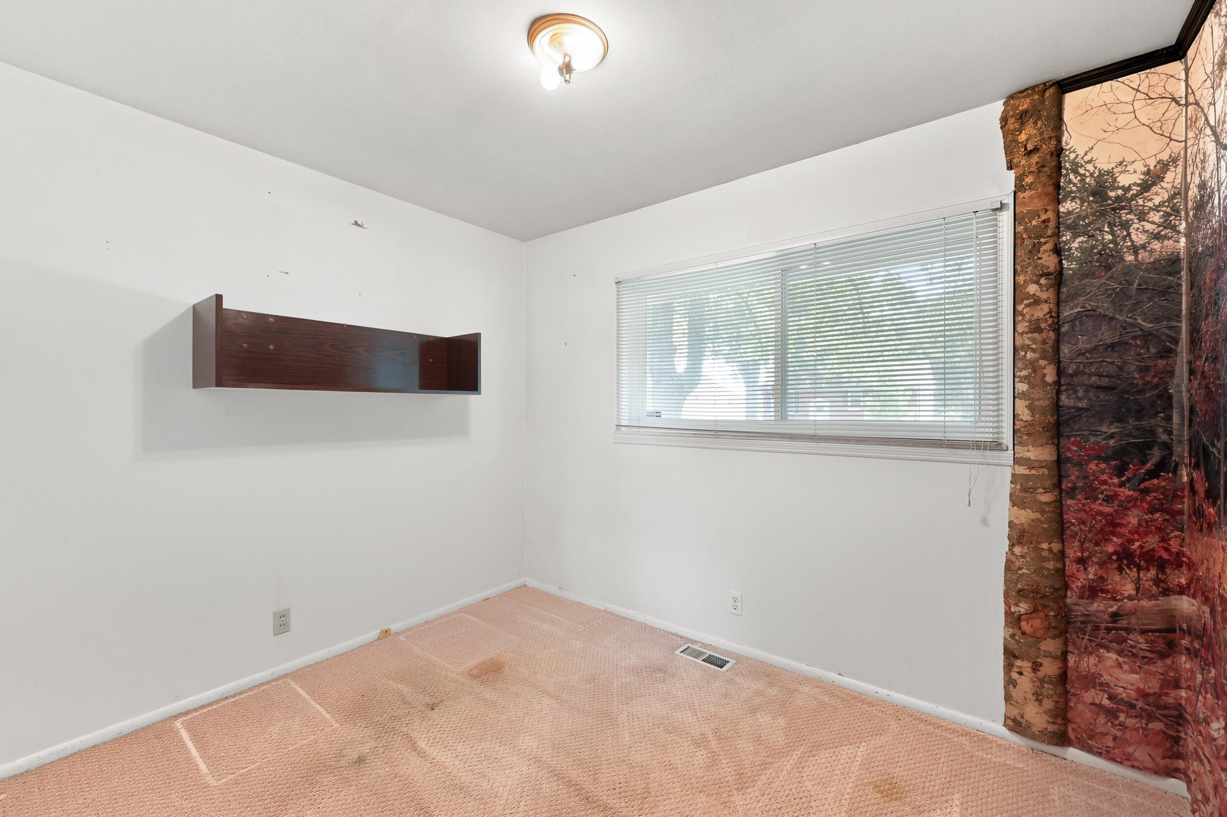 245 Vanderbilt Drive Property Photo 8