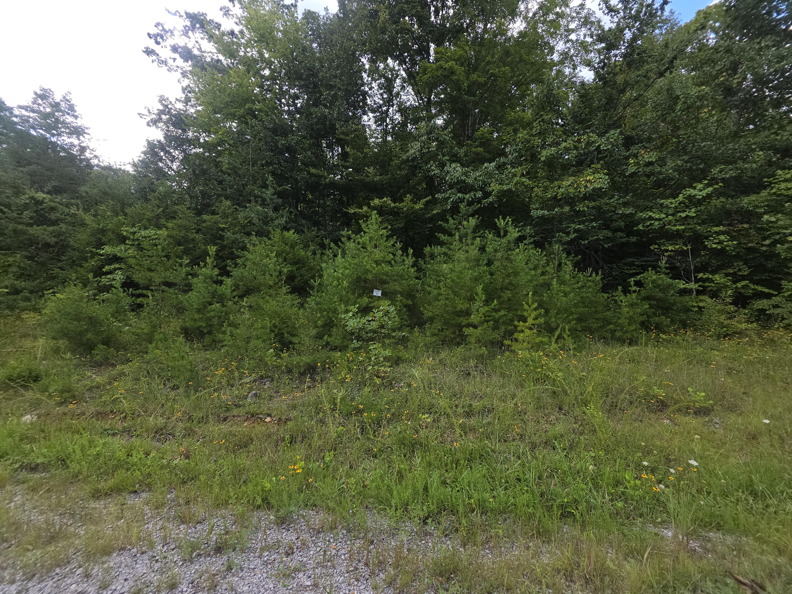5 Buck Creek Circle Property Photo 3