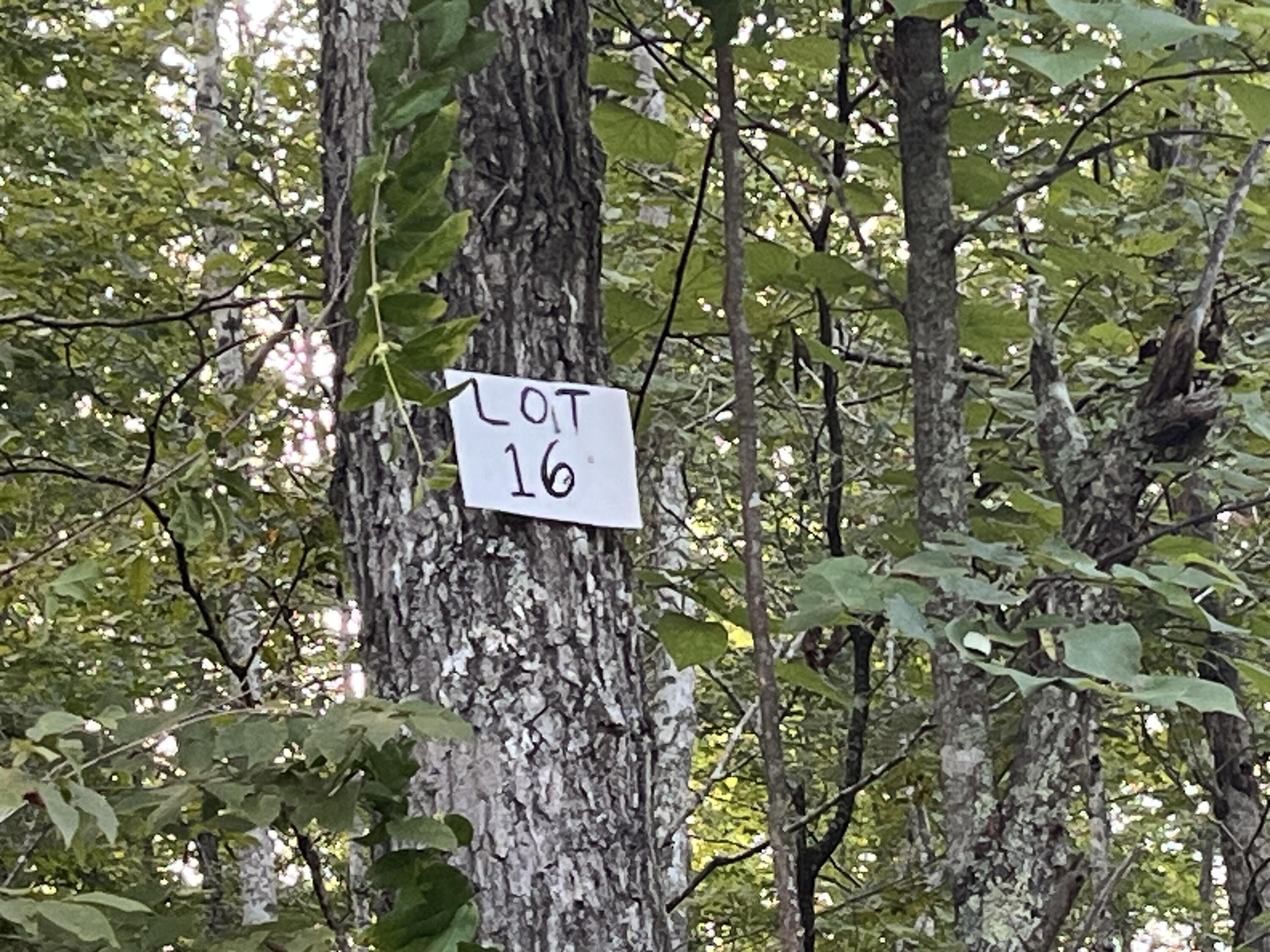16 Buck Creek Circle Property Photo 1