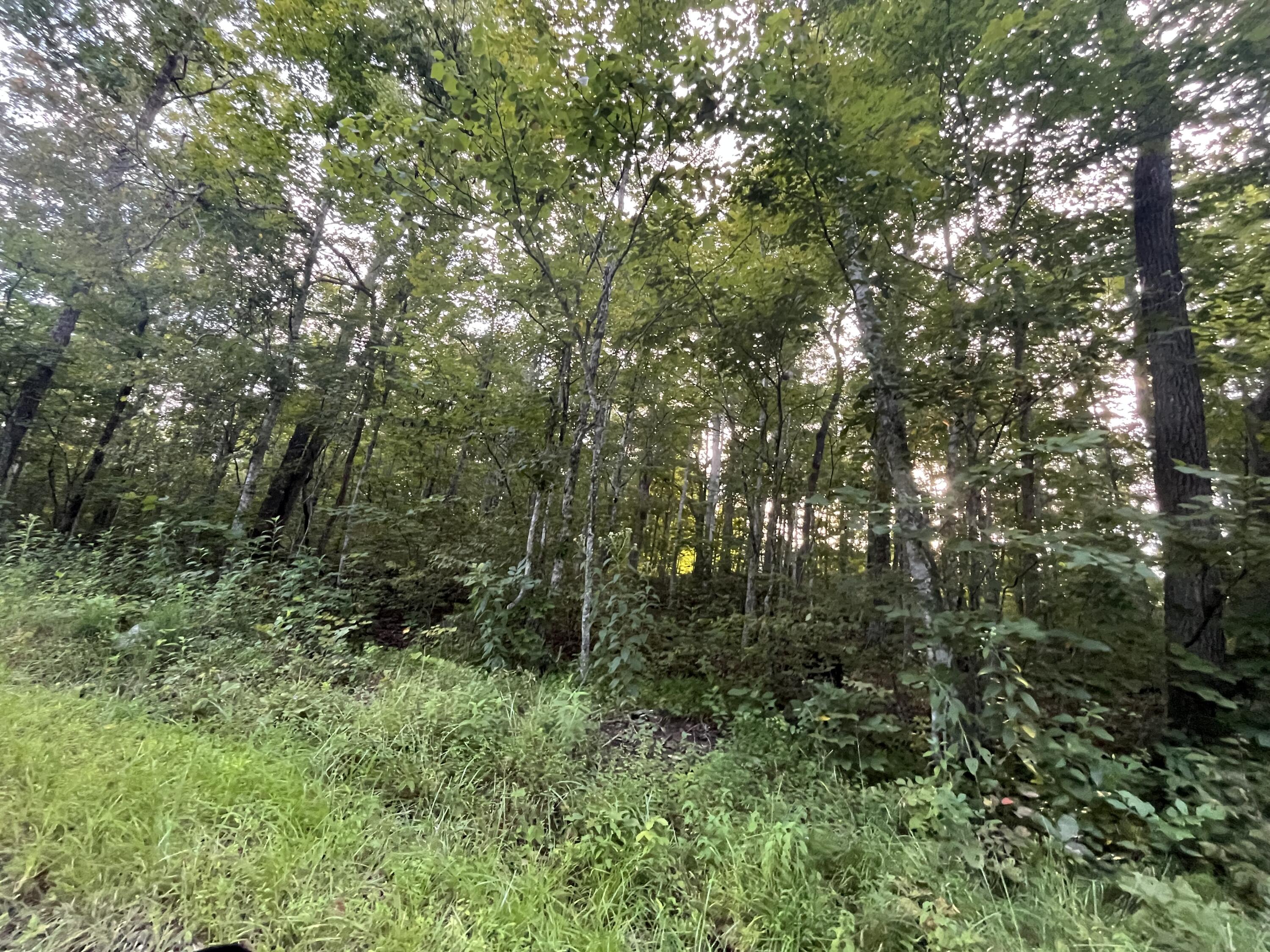 16 Buck Creek Circle Property Photo 3