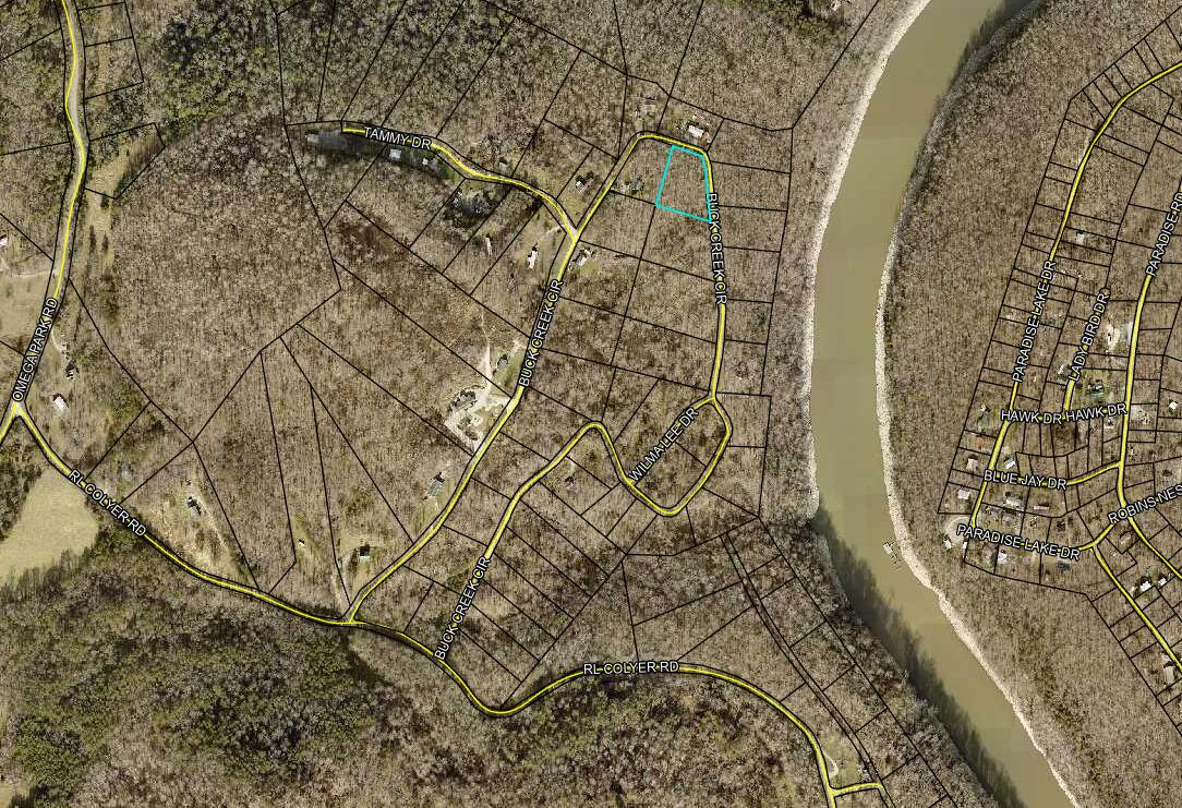 16 Buck Creek Circle Property Photo 4