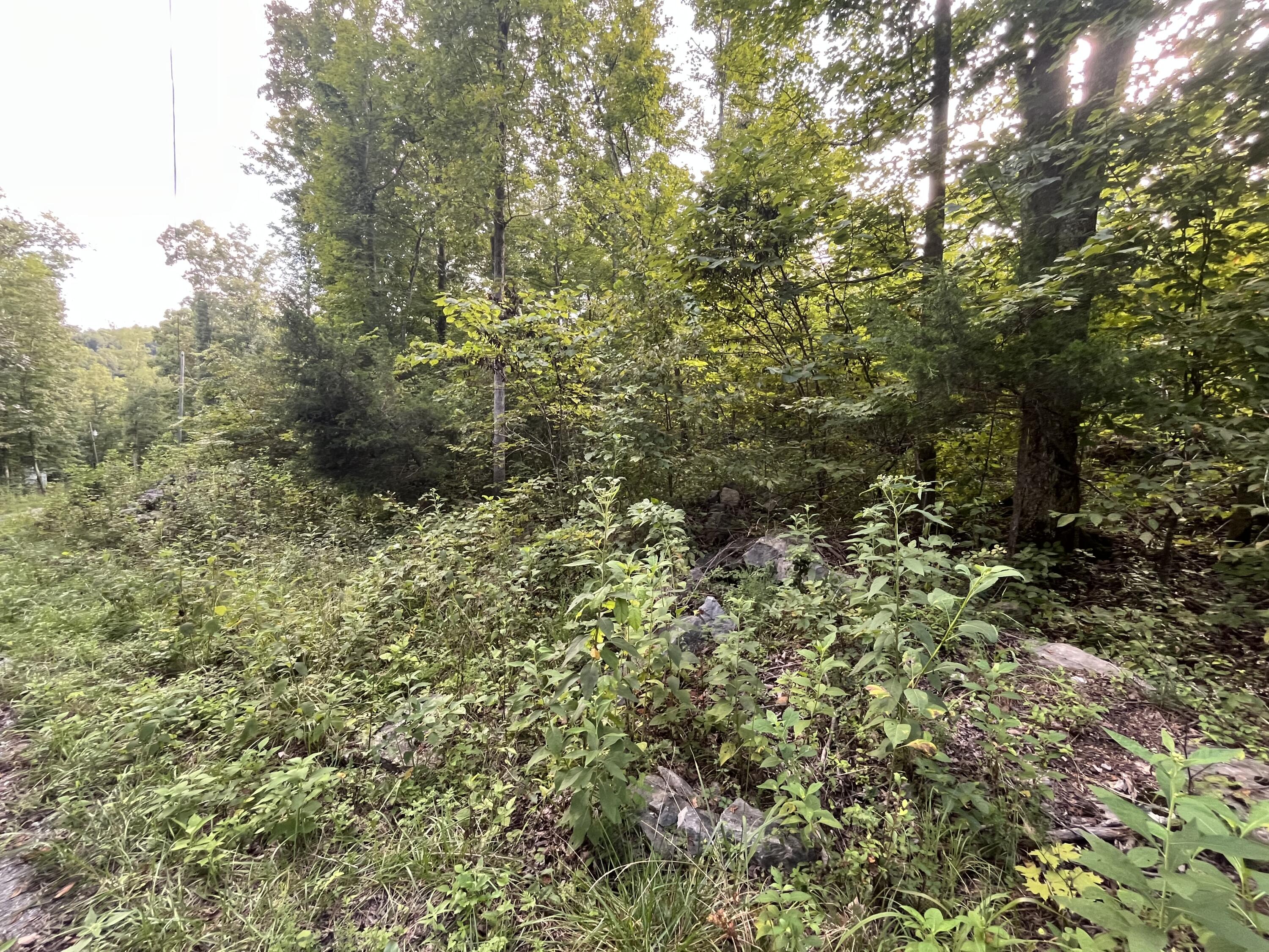 18 Buck Creek Circle Property Photo 1
