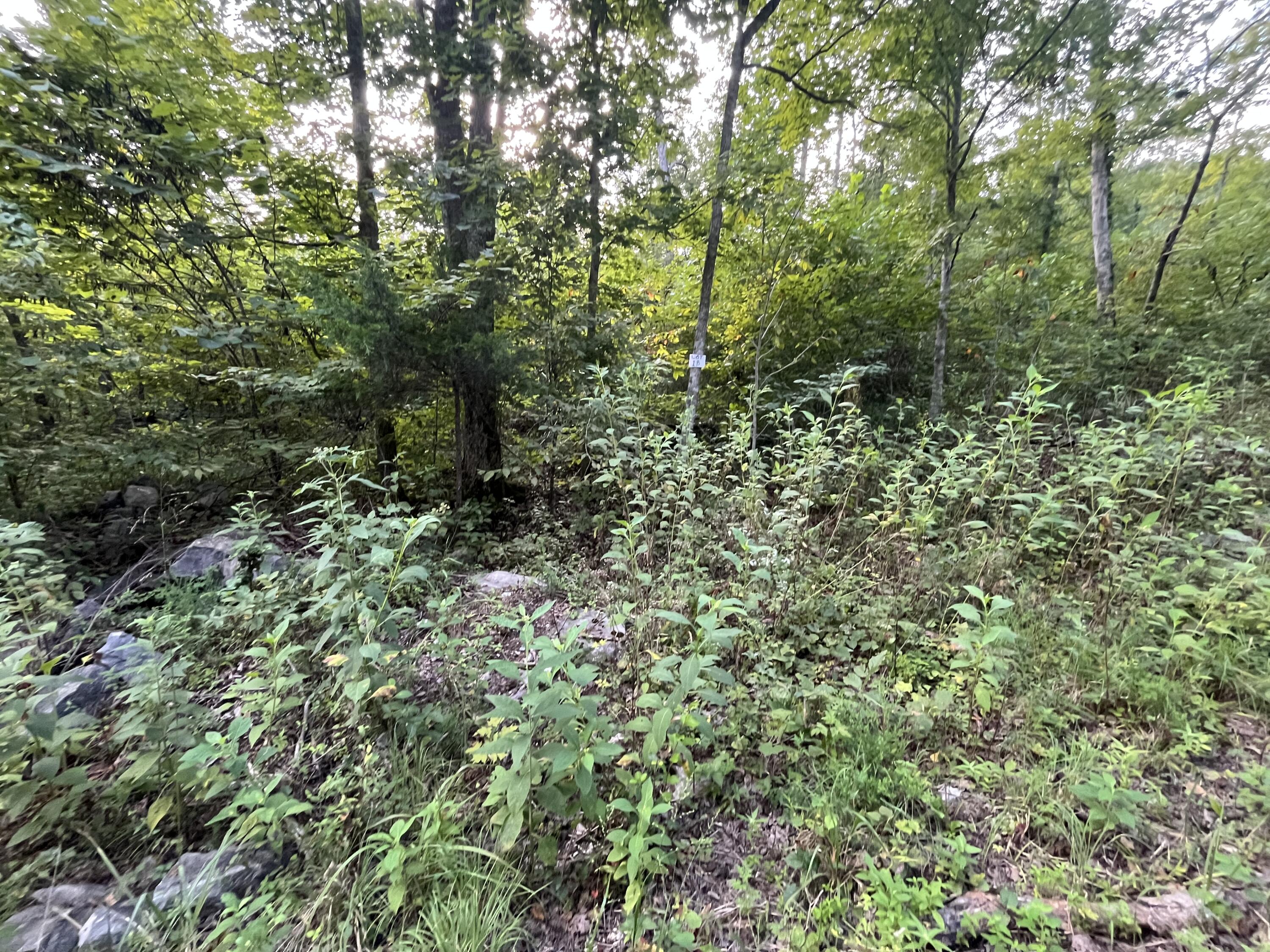 18 Buck Creek Circle Property Photo 3