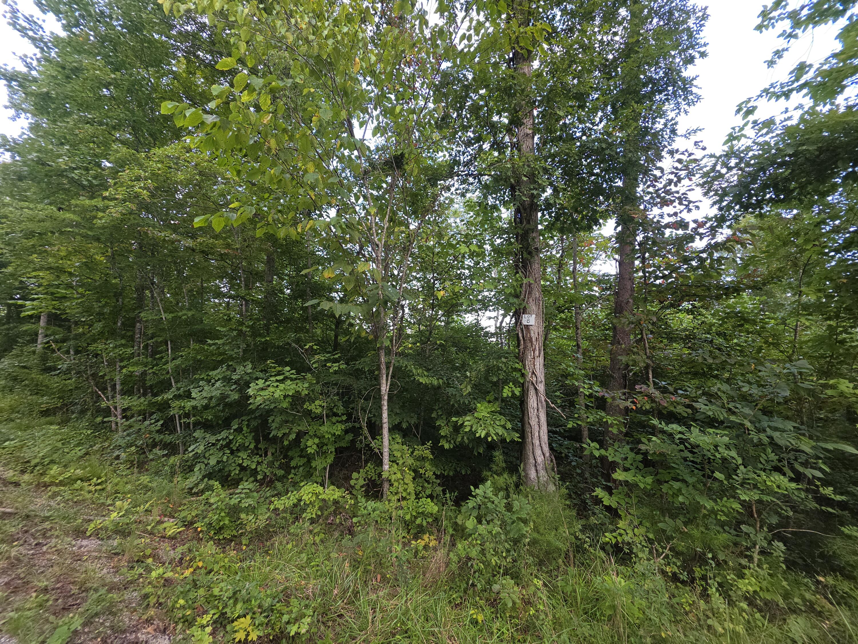 8 Buck Creek Circle Property Photo 1