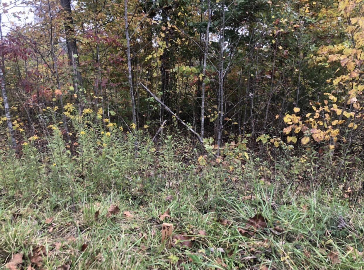8 Buck Creek Circle Property Photo 2