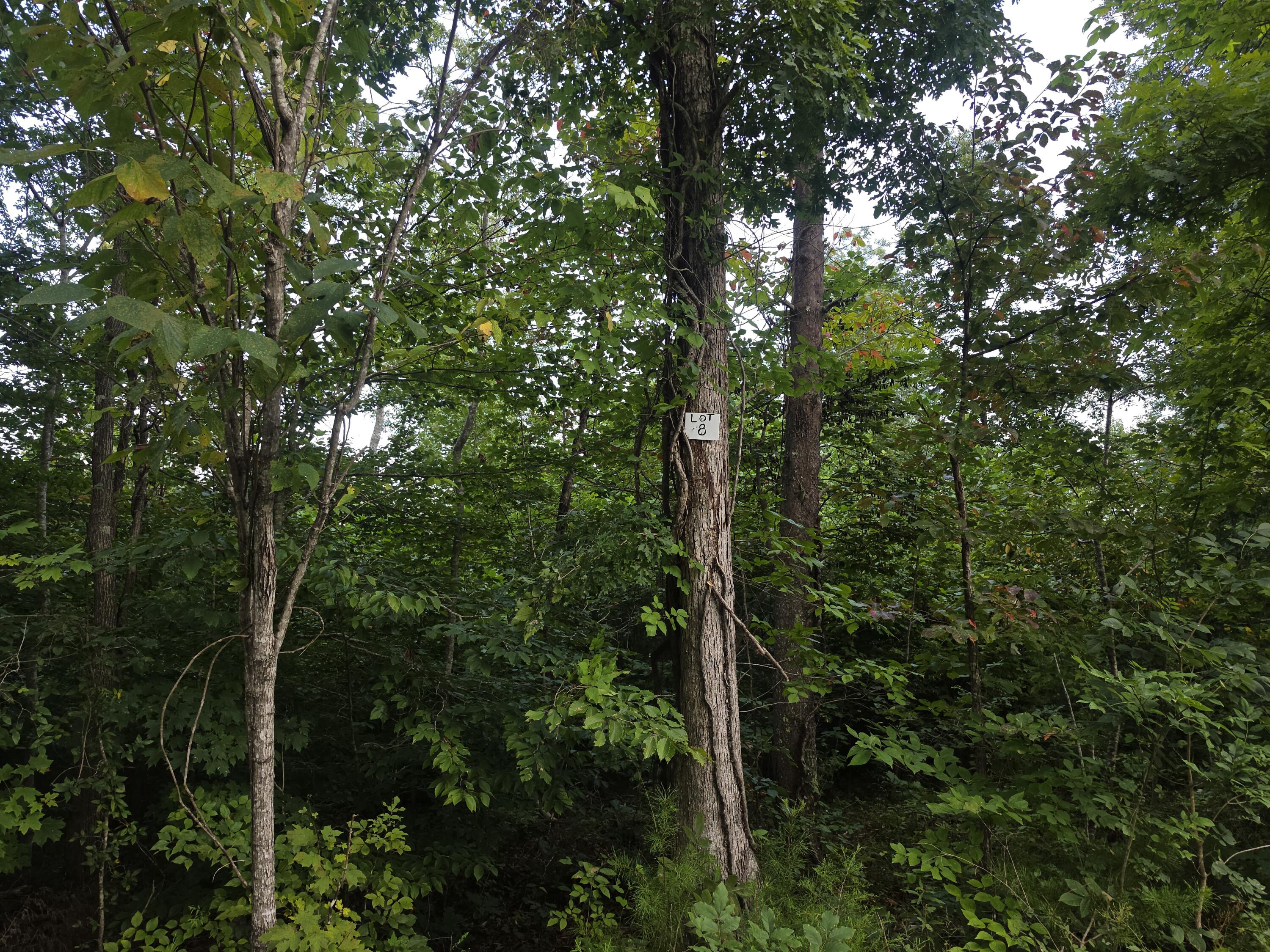 8 Buck Creek Circle Property Photo 6